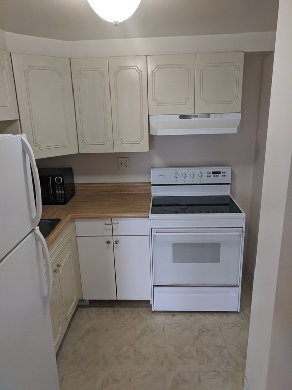 Studio bed, 1 bath apartment for rent at 22 Chestnut Pl Unit 409, Brookline Village — photo 2 of 3