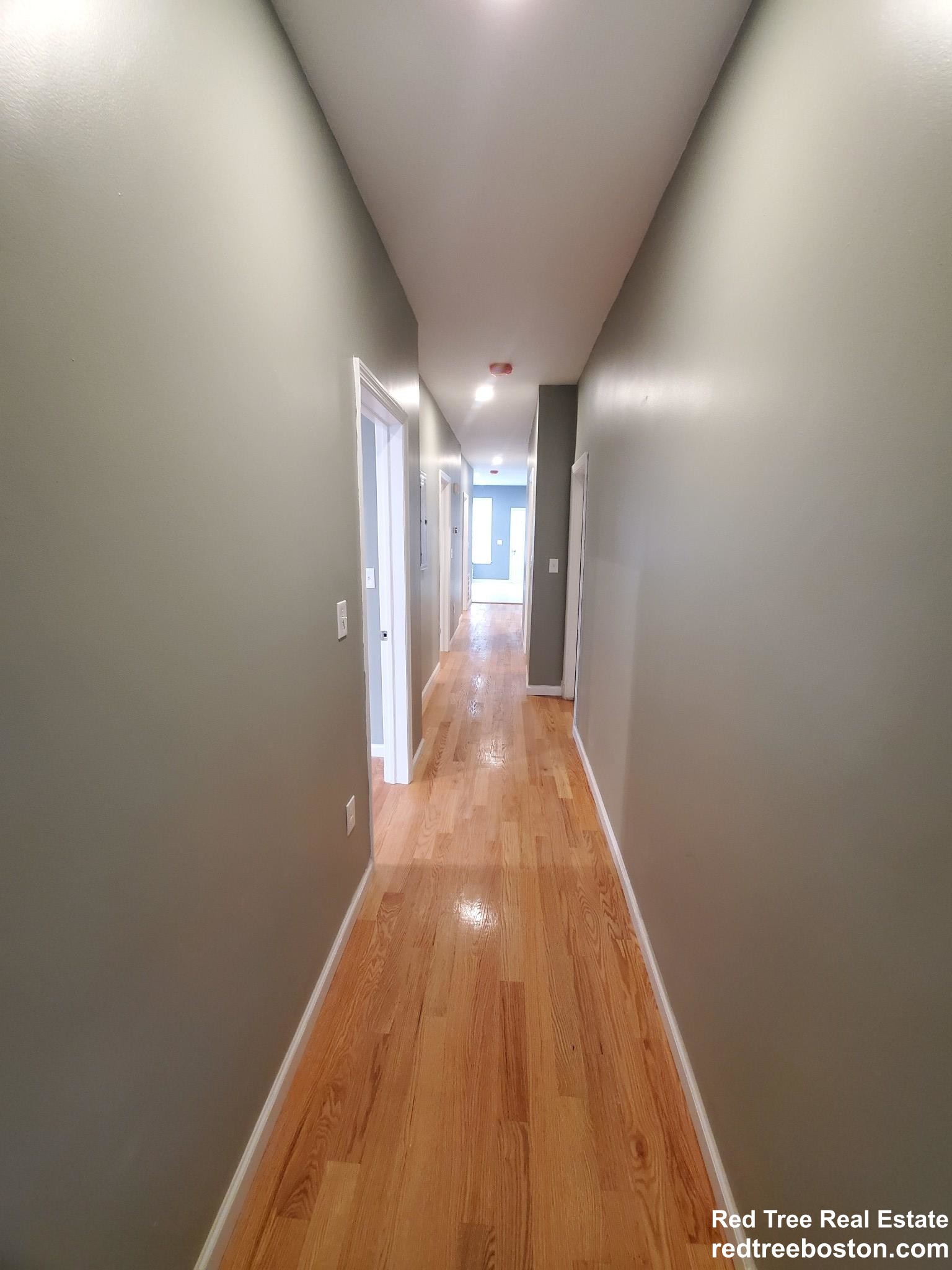3 split bed, 2 bath apartment for rent at 294 Brookline St Unit Ma, Central Square — photo 20 of 23