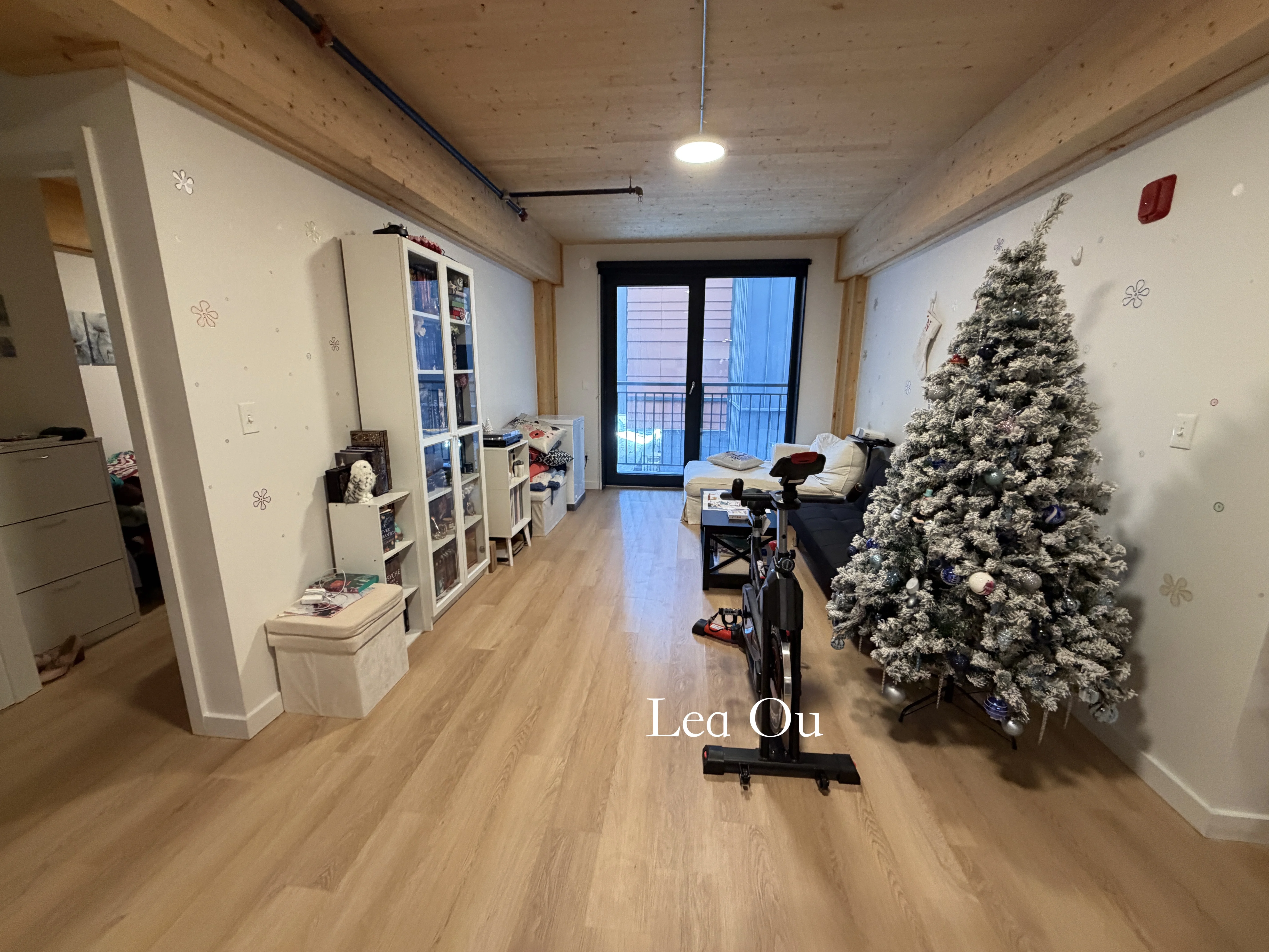 11 East Lenox St, Roxbury