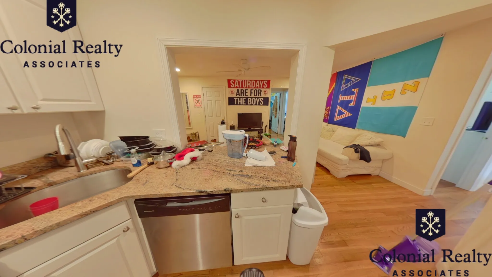 62 Egmont St, North Brookline