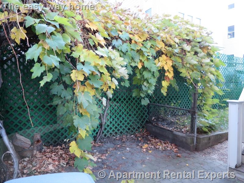 33 Lewis St, Ward Two