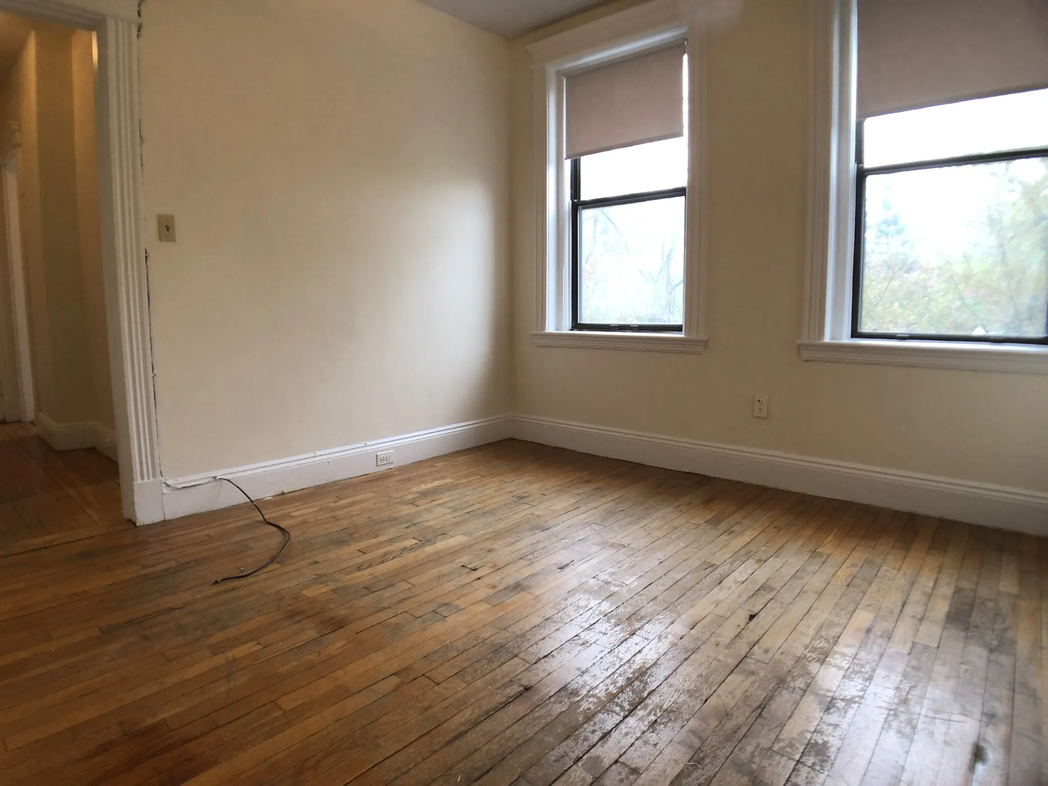 1156 Commonwealth Ave, Brighton