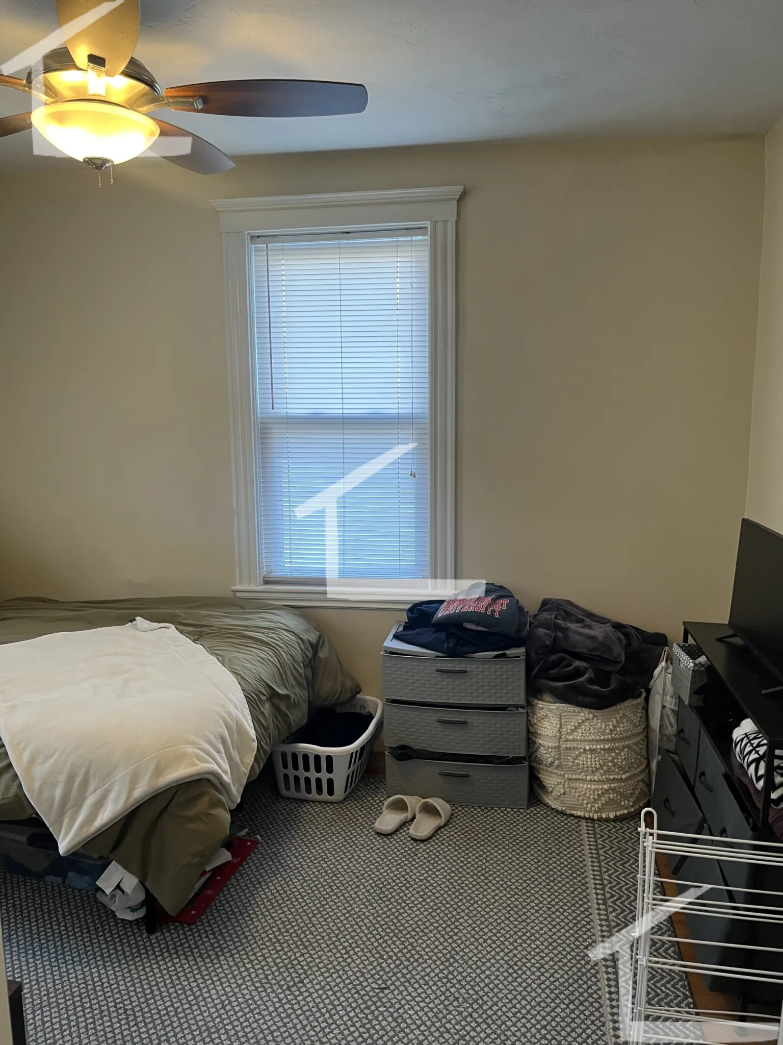 58 Atkins St, Oak Square