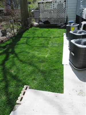 12 Jay St, Davis Square