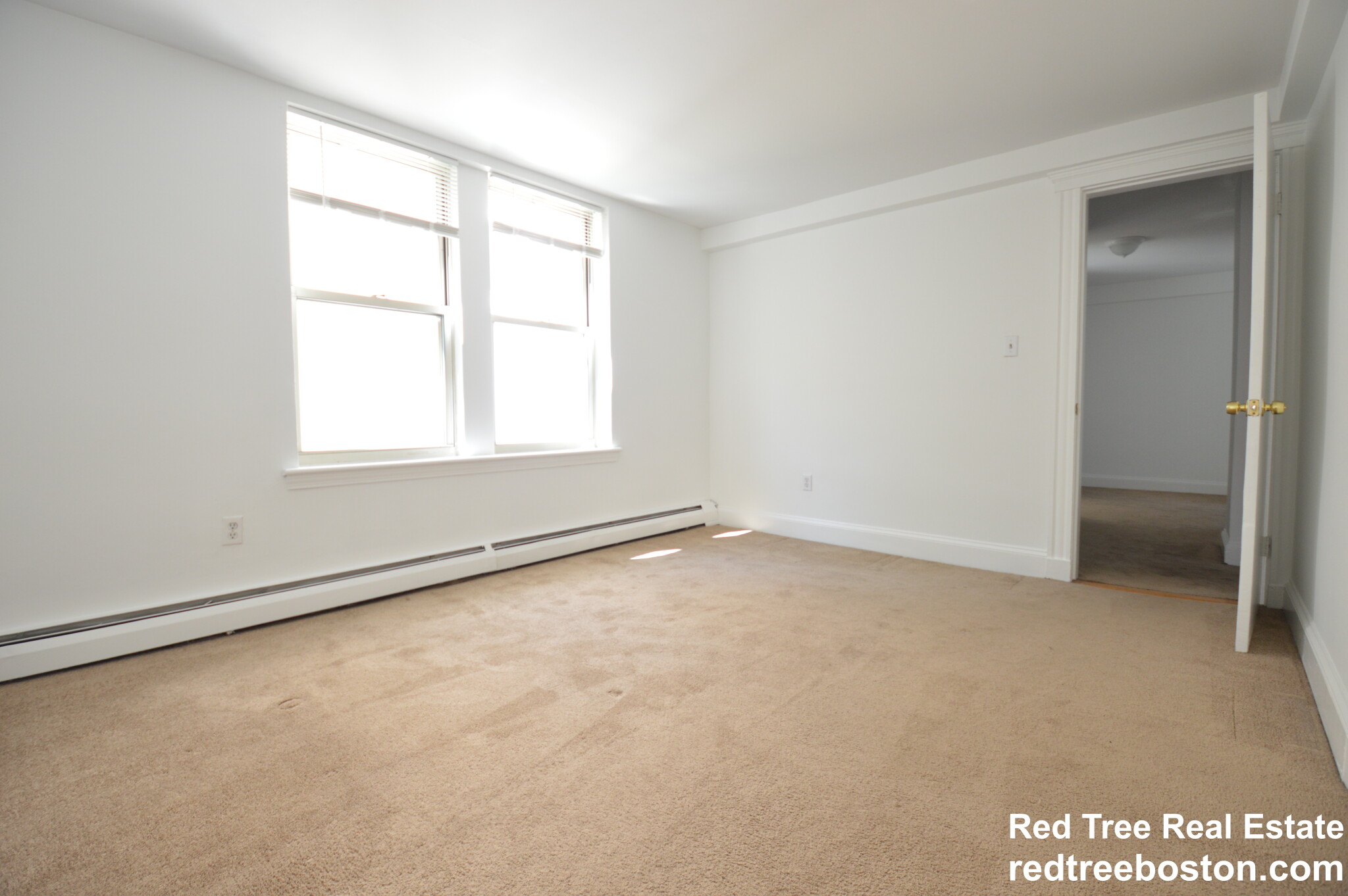 20 Colborne Rd, Brighton