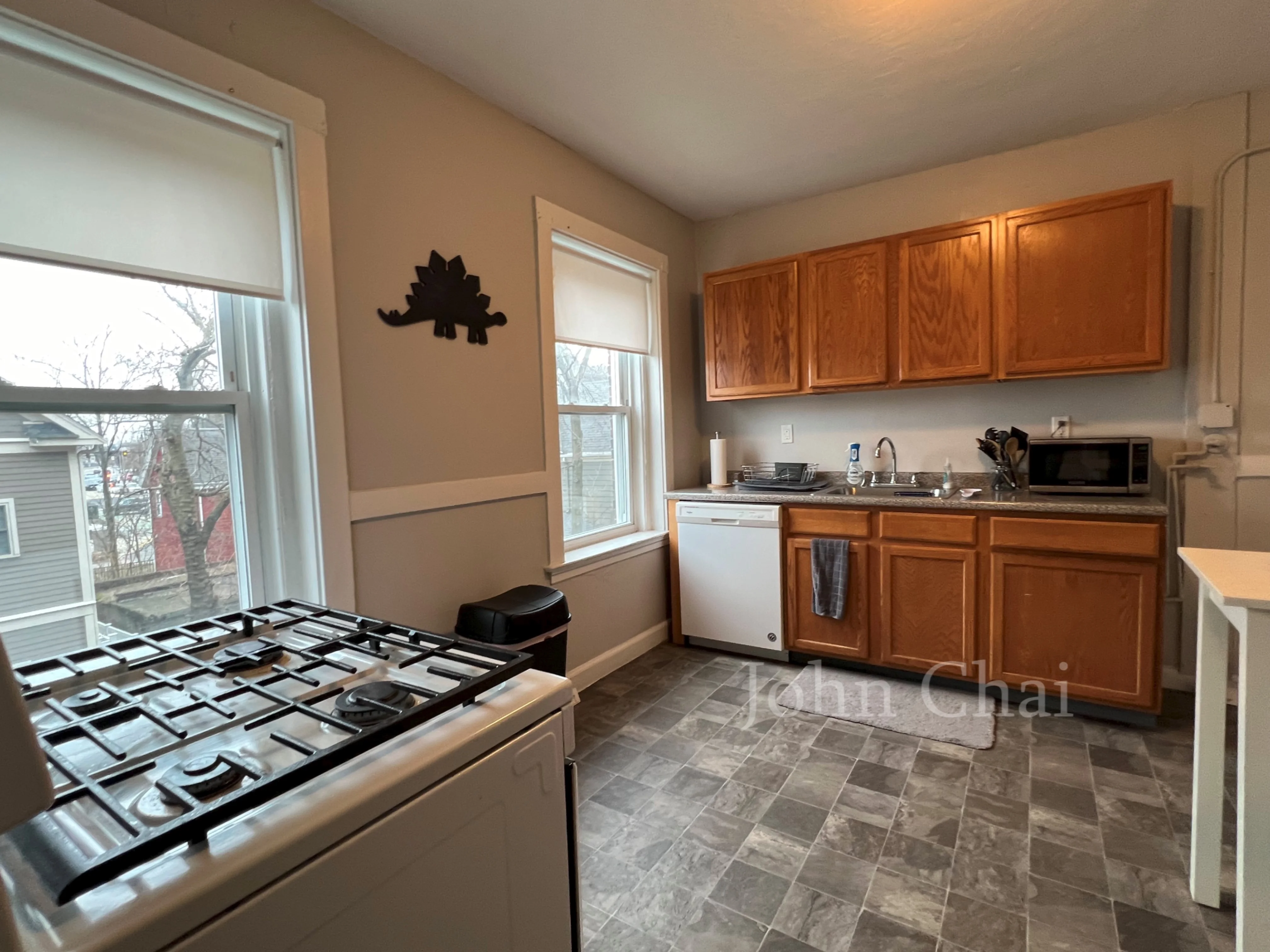 228 South St, Jamaica Plain