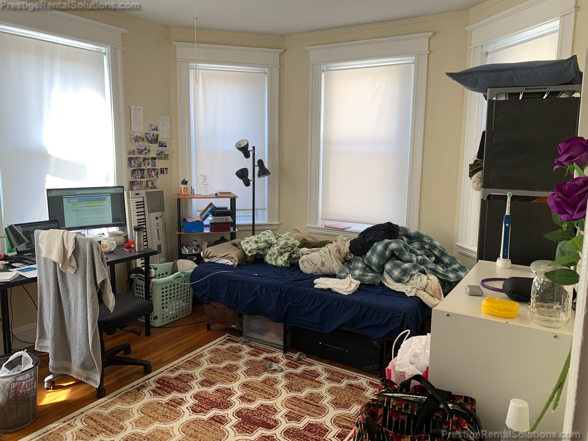 60 Woodstock Ave, Brighton