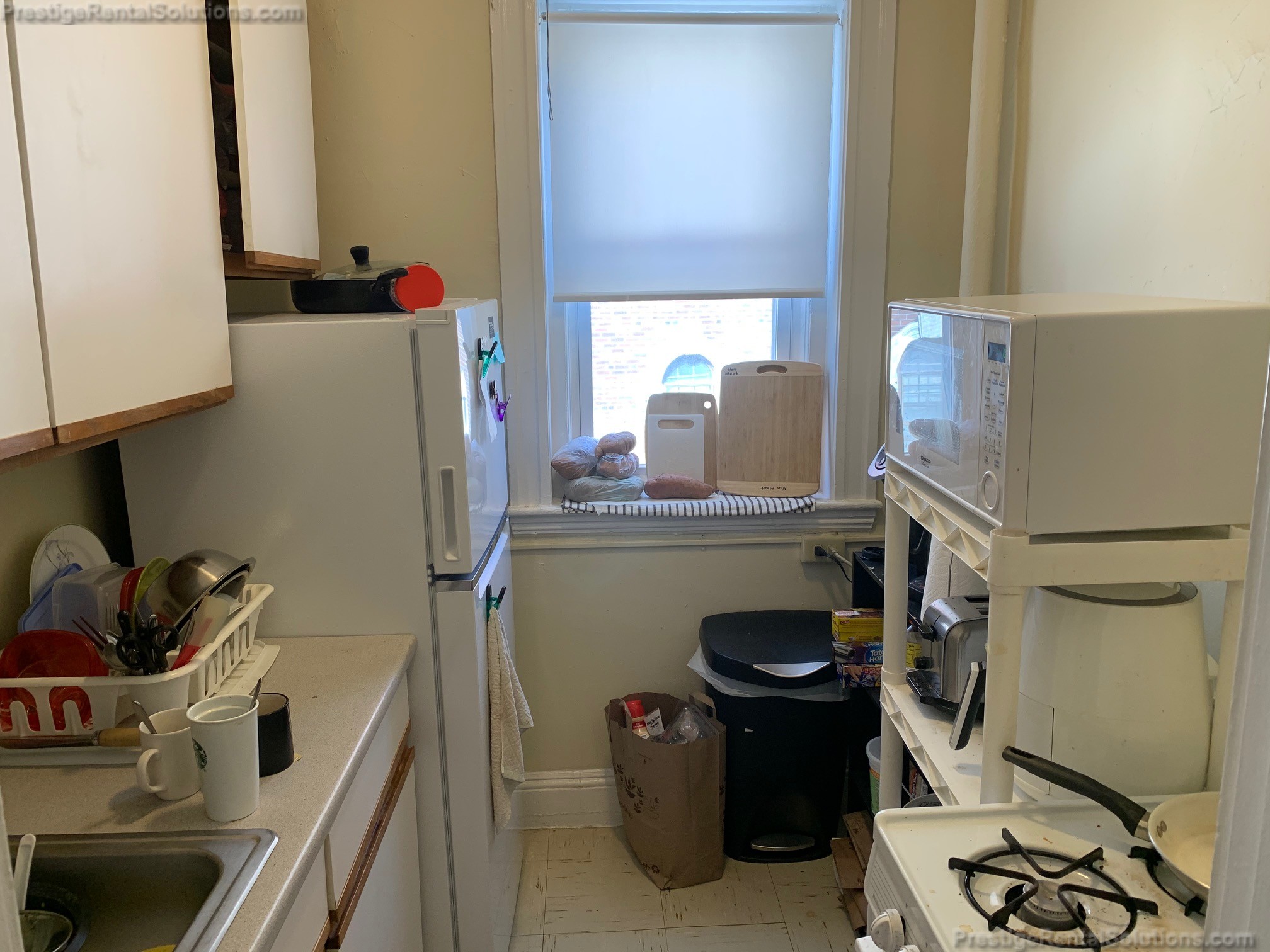 60 Woodstock Ave, Brighton