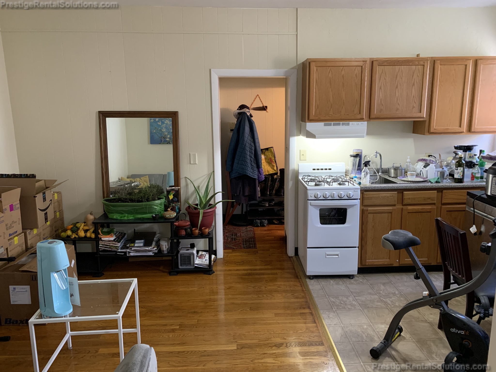 14 Hyde Park Ave, Jamaica Plain