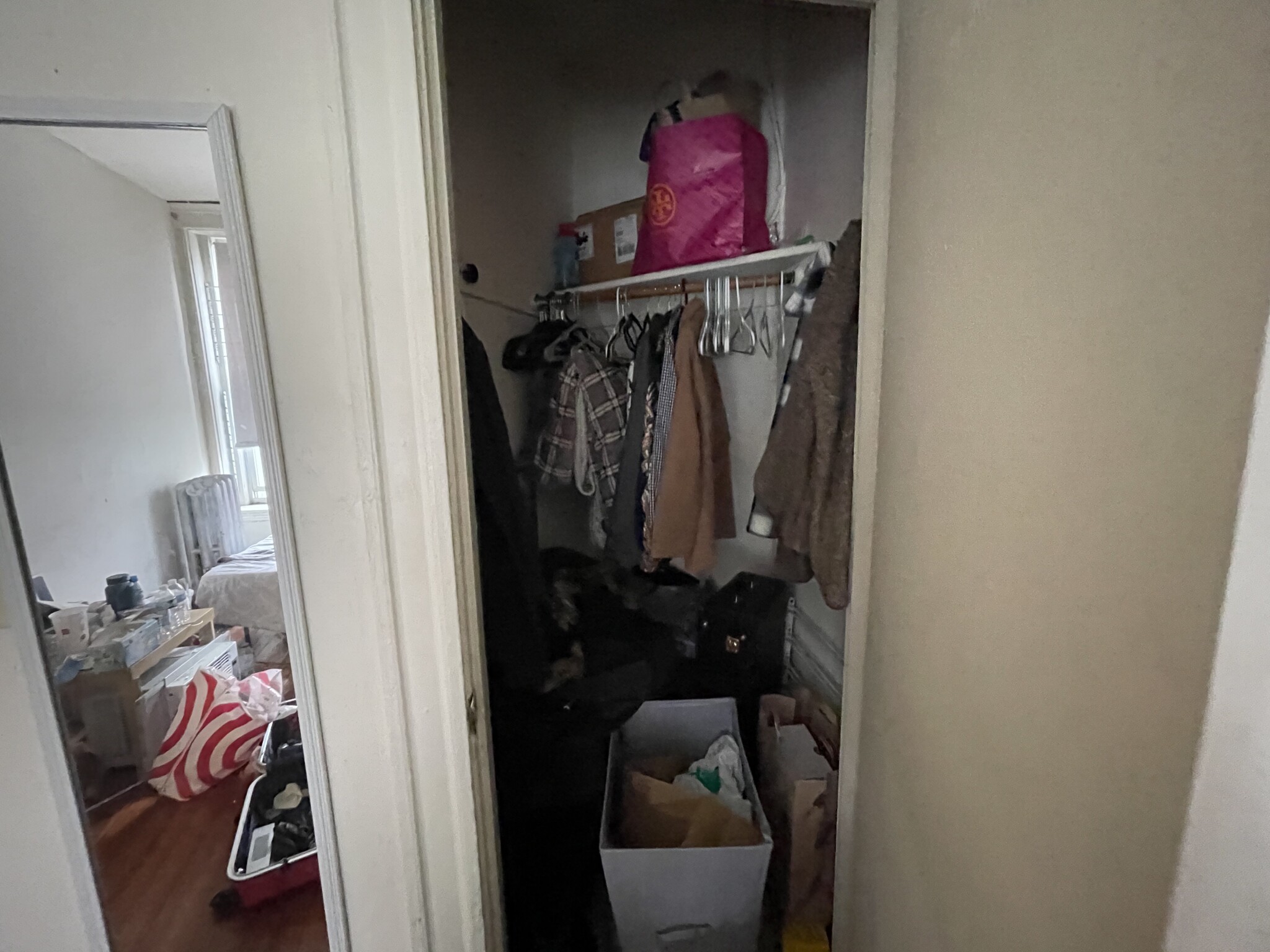 19 Mount Hood Rd, Brighton