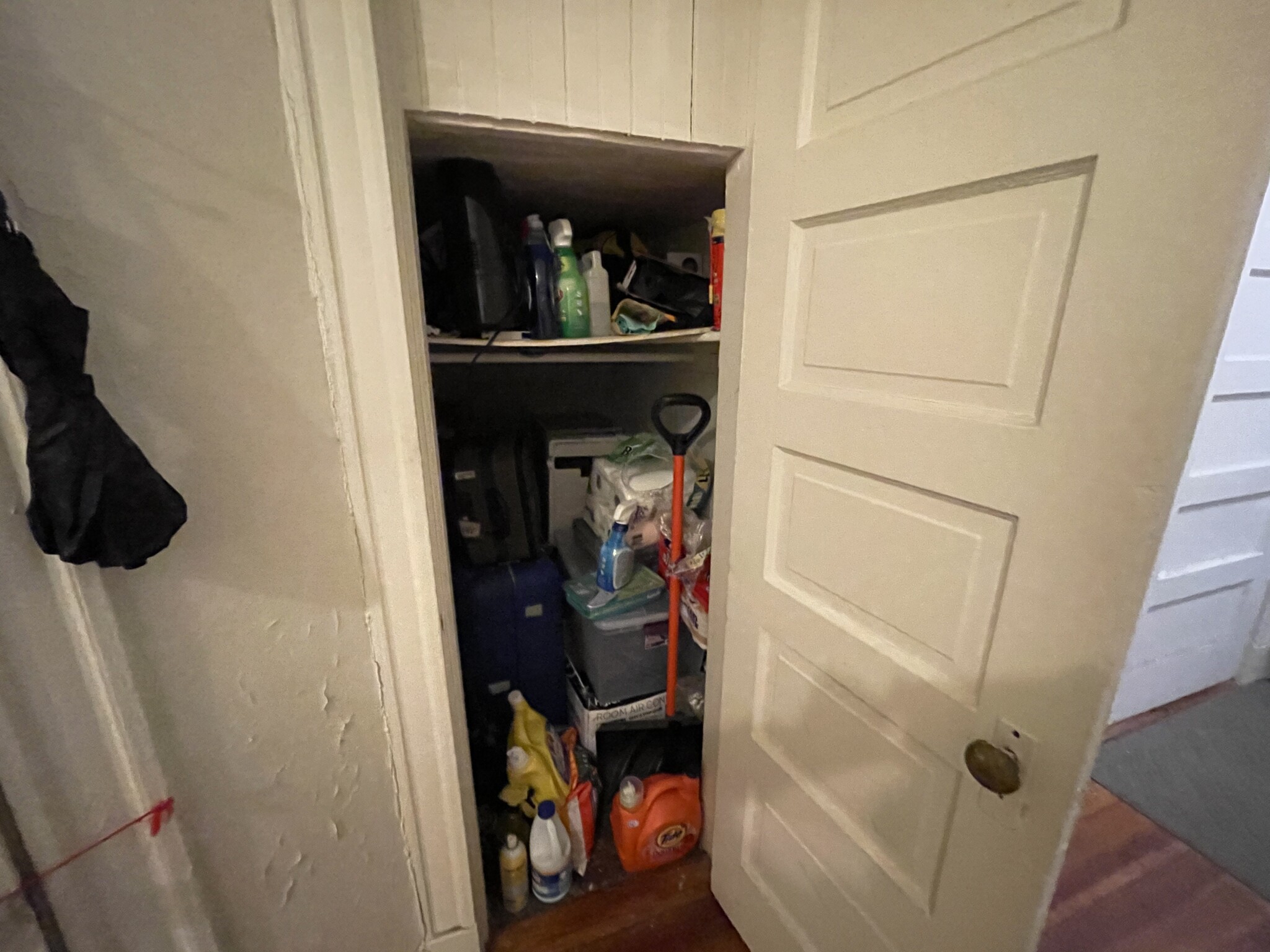 19 Mount Hood Rd, Brighton