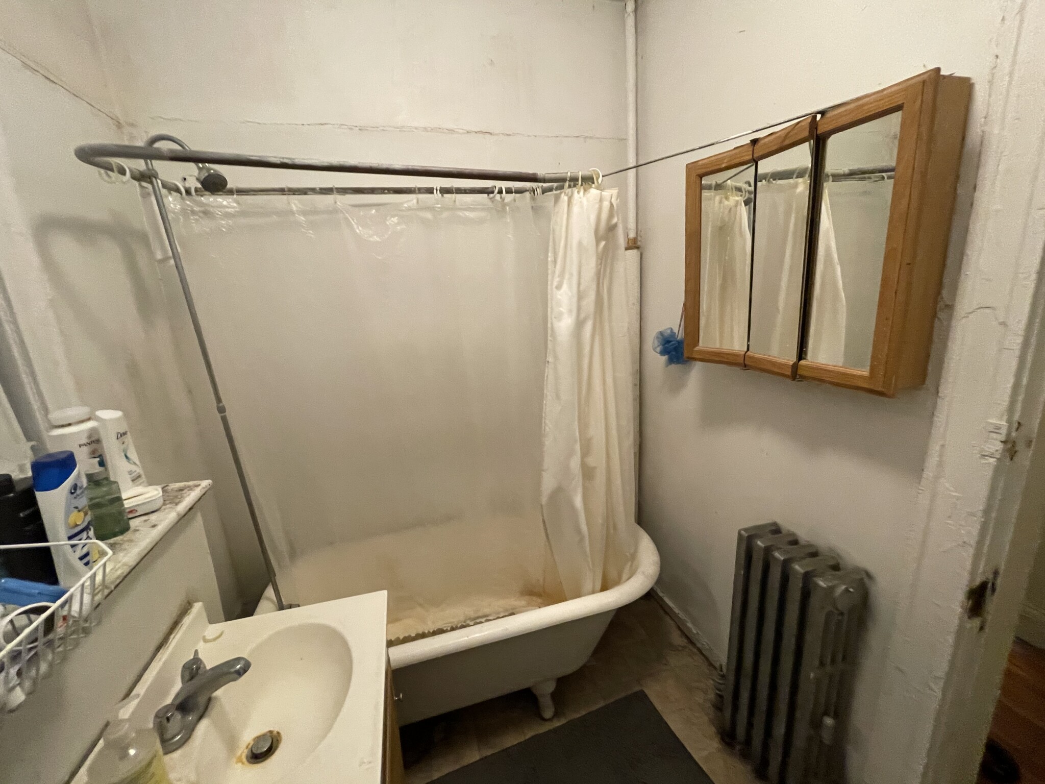 19 Mount Hood Rd, Brighton