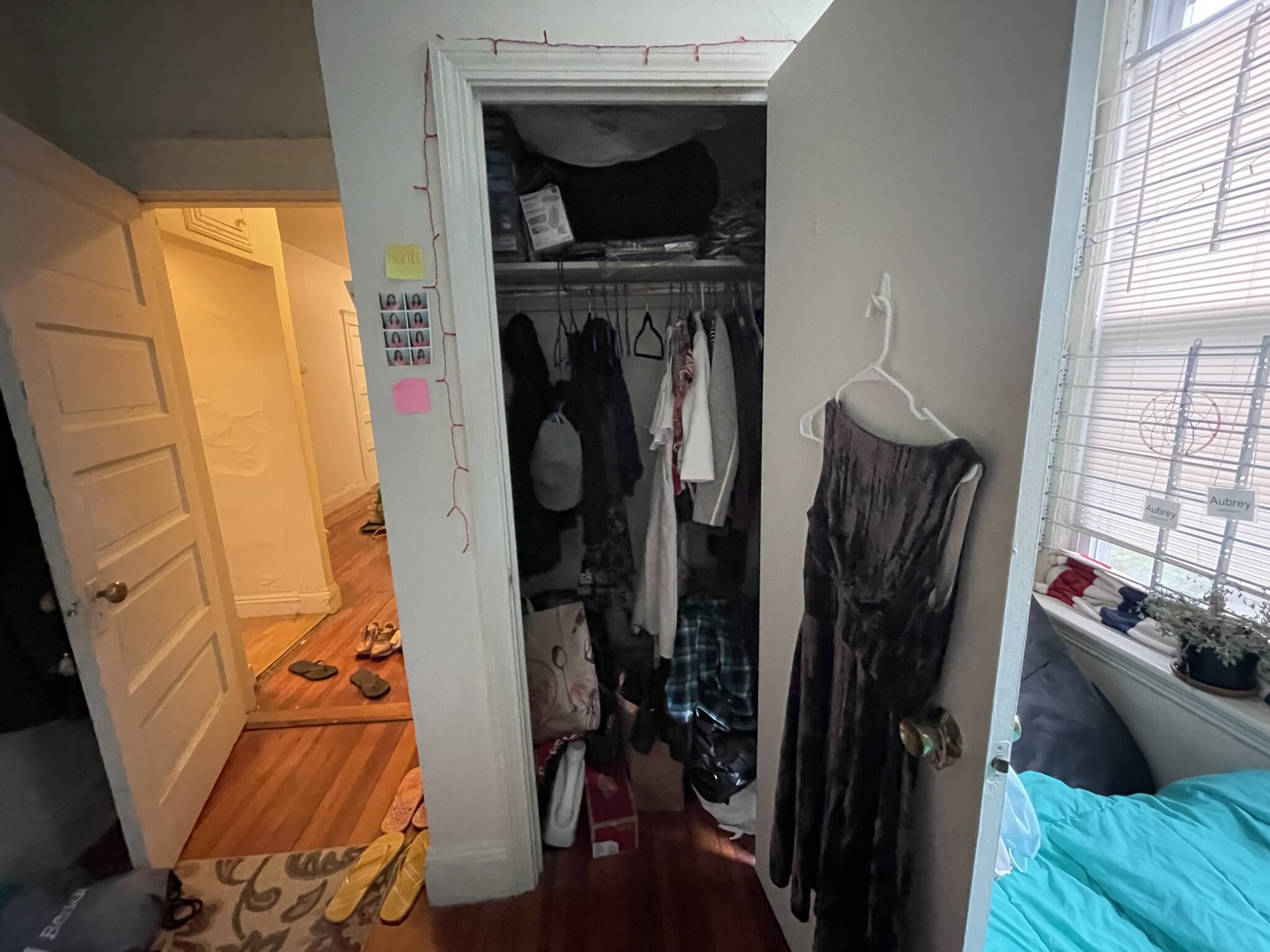 19 Mount Hood Rd, Brighton