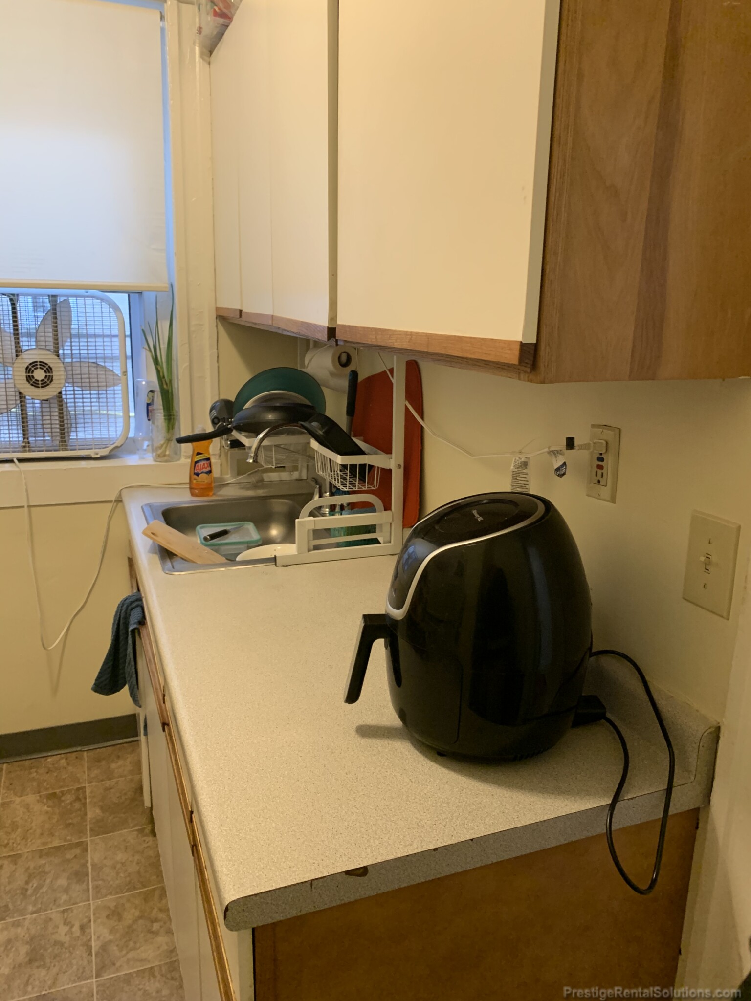 217 Kelton St, Brighton