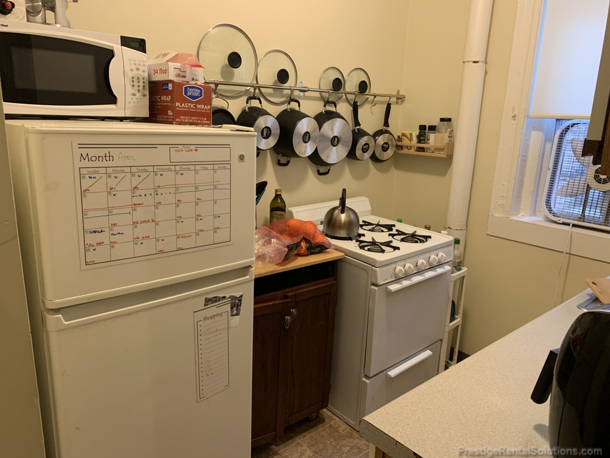 217 Kelton St, Brighton