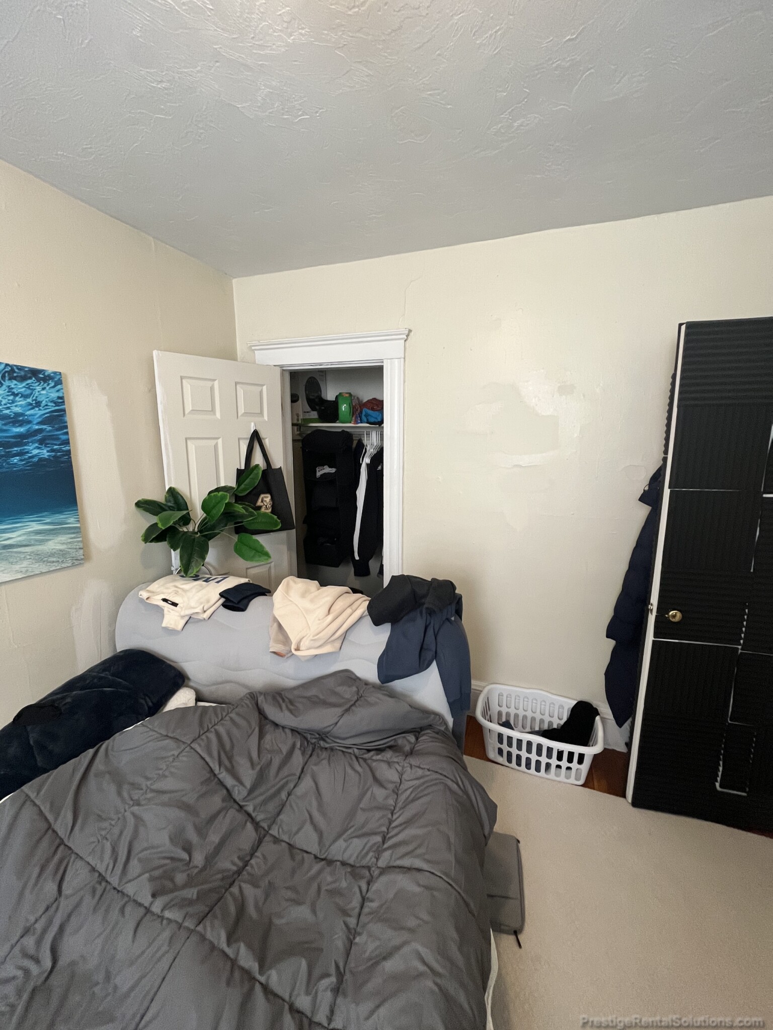 146 Chiswick Rd, Brighton