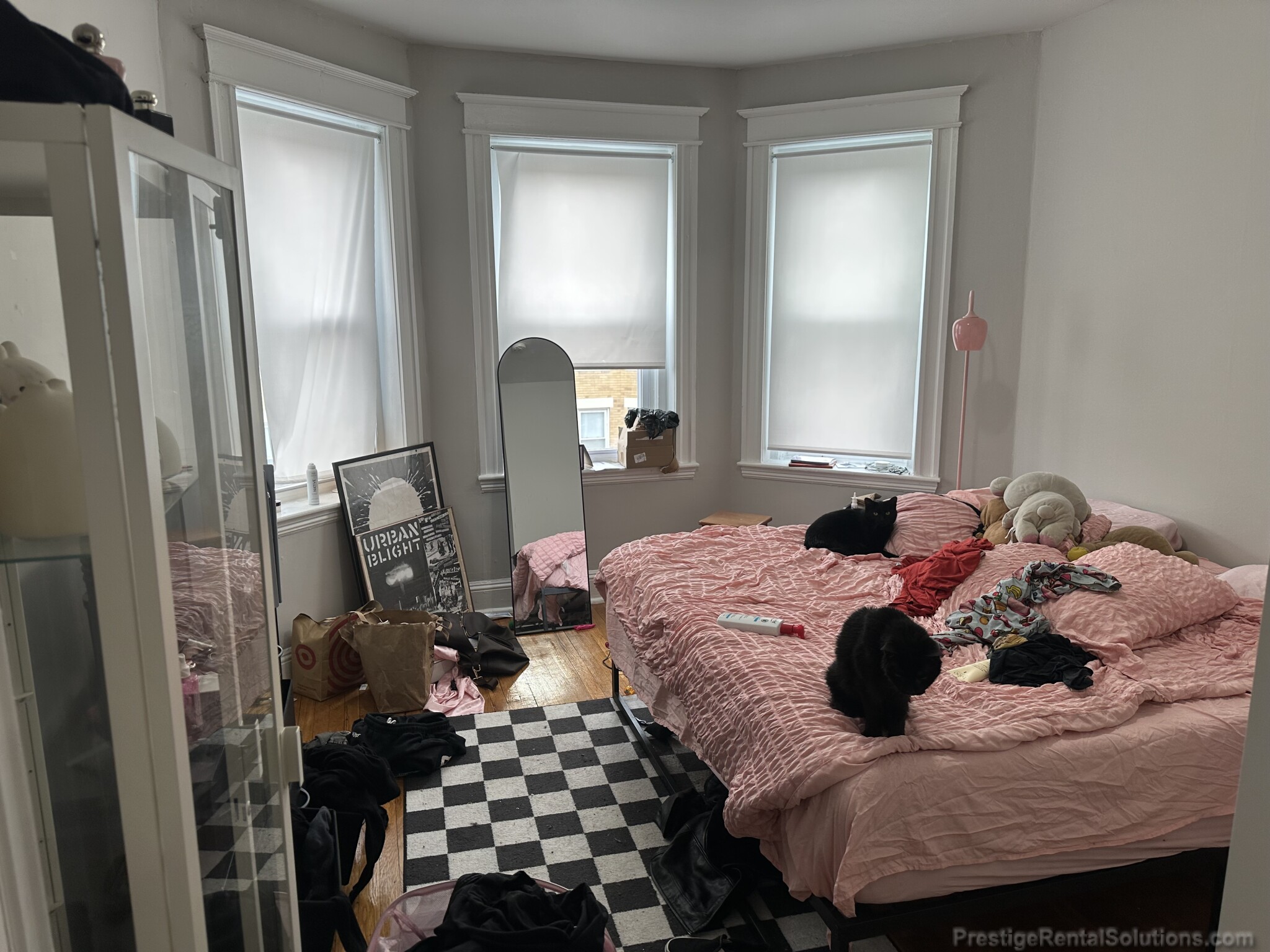 221 Kelton St, Brighton