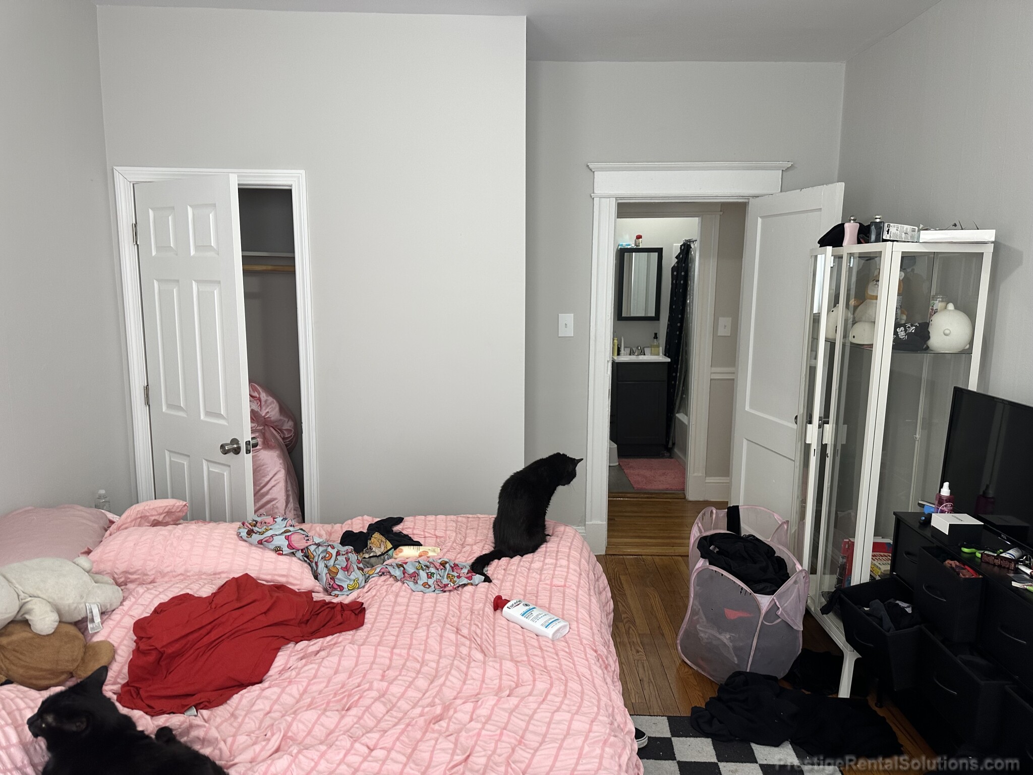 221 Kelton St, Brighton