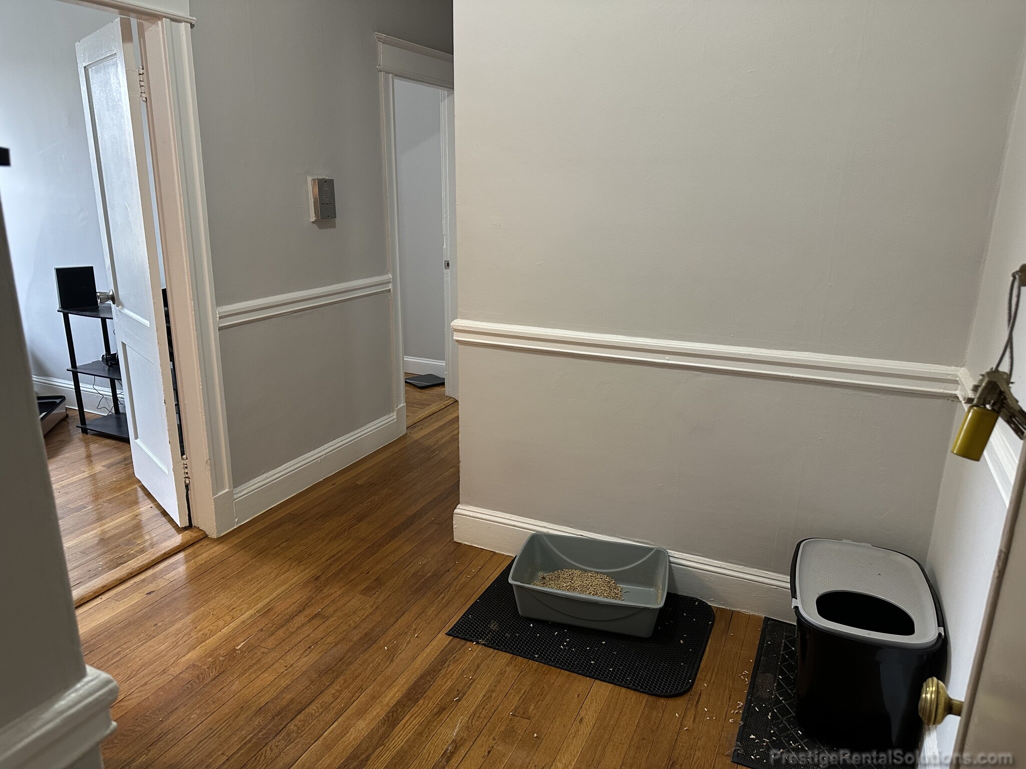 221 Kelton St, Brighton