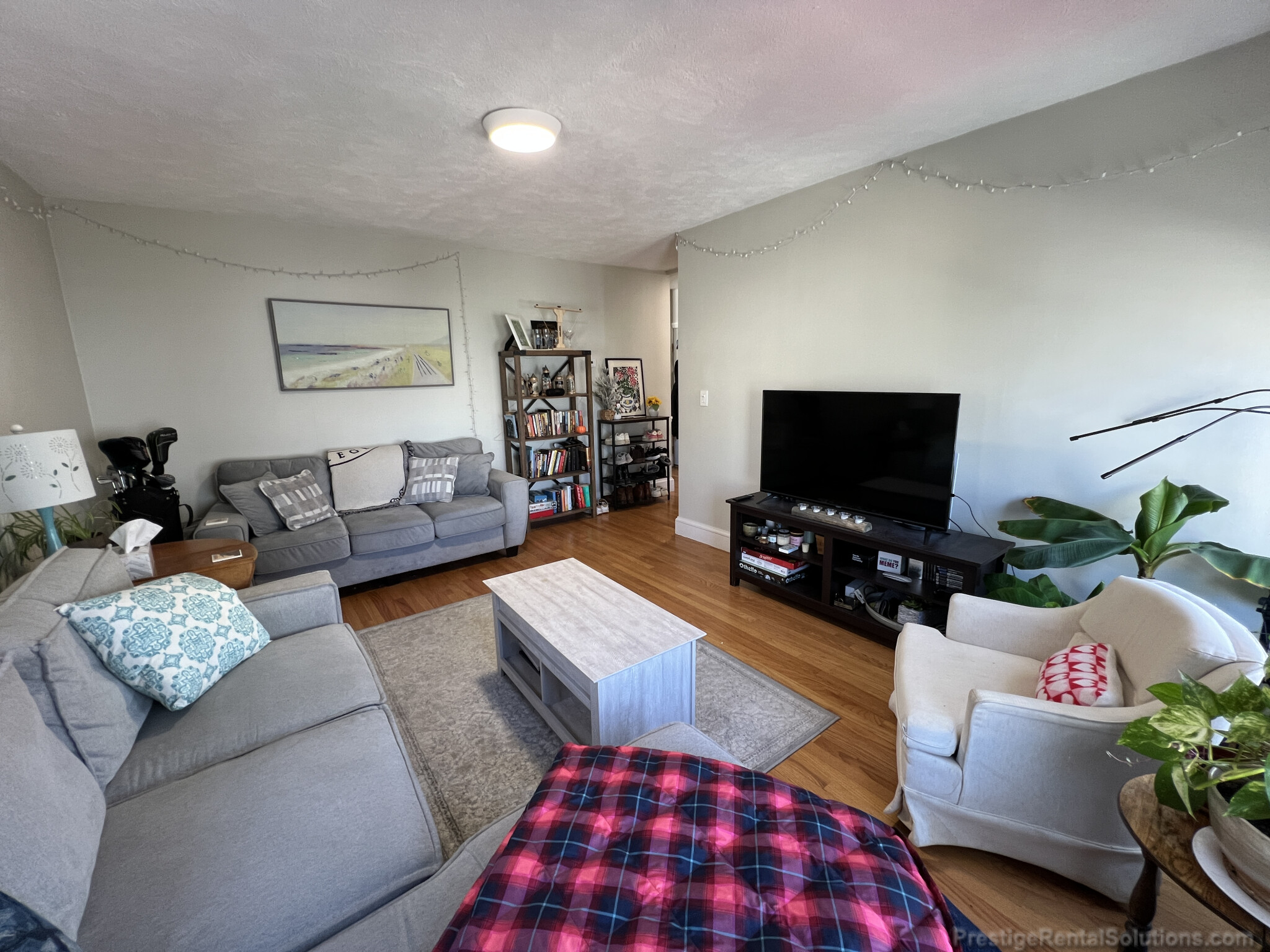 46 Shannon St, Brighton