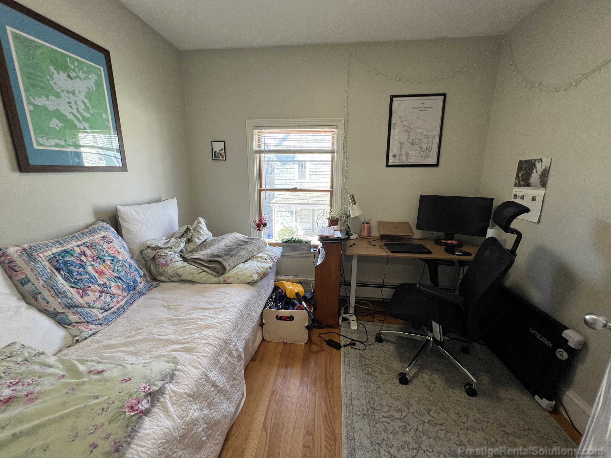 46 Shannon St, Brighton