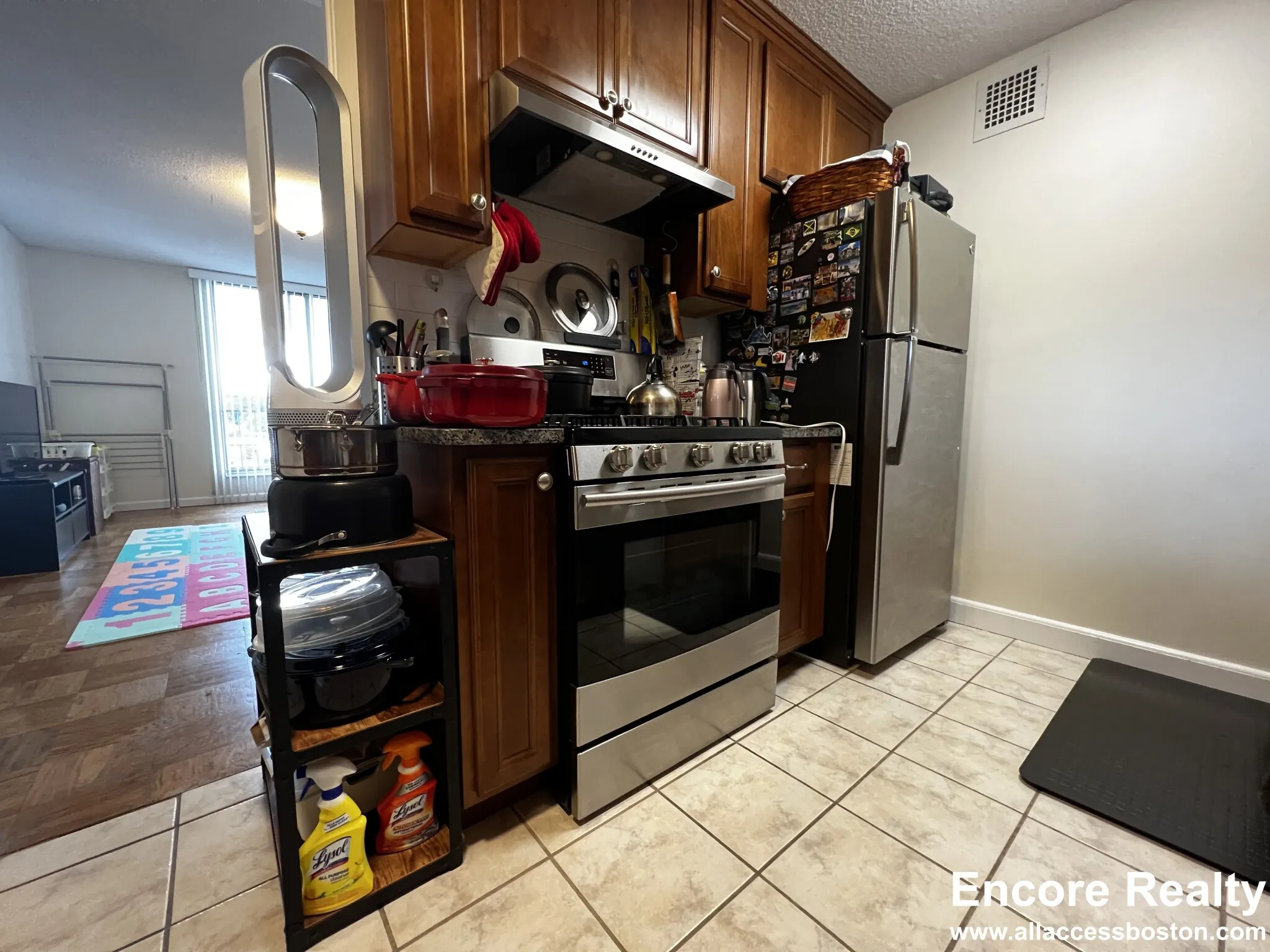 77 Pond Ave, Brookline Village