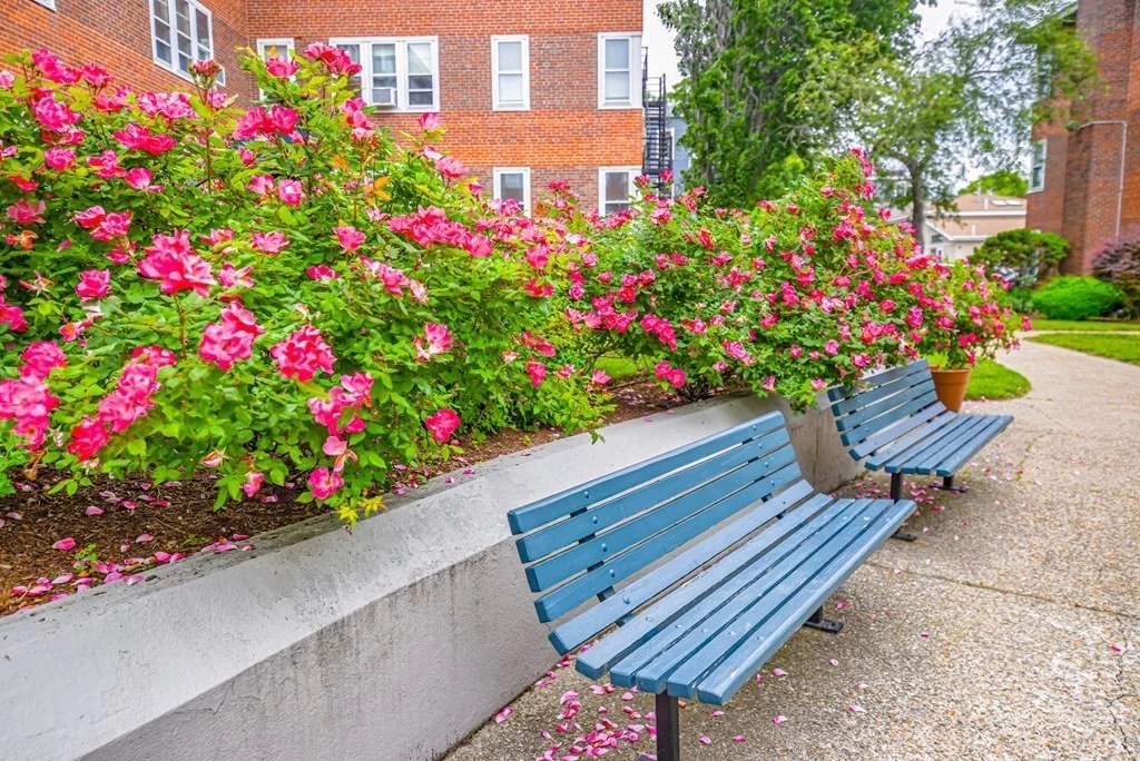 145 Farragut, South Boston