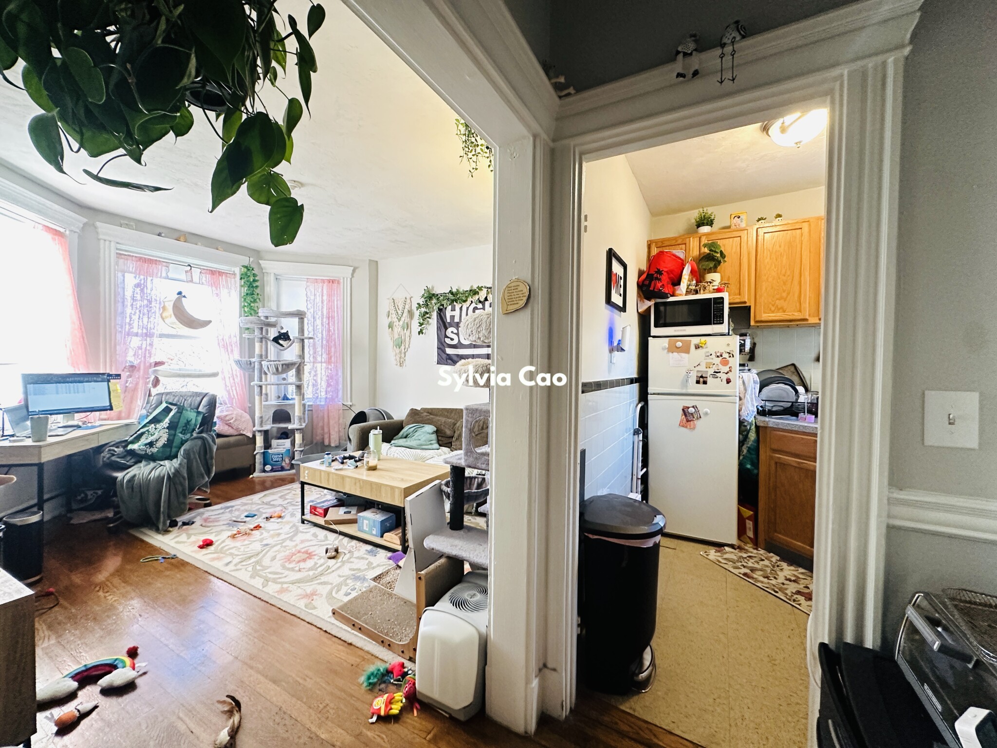 368 Riverway, Mission Hill