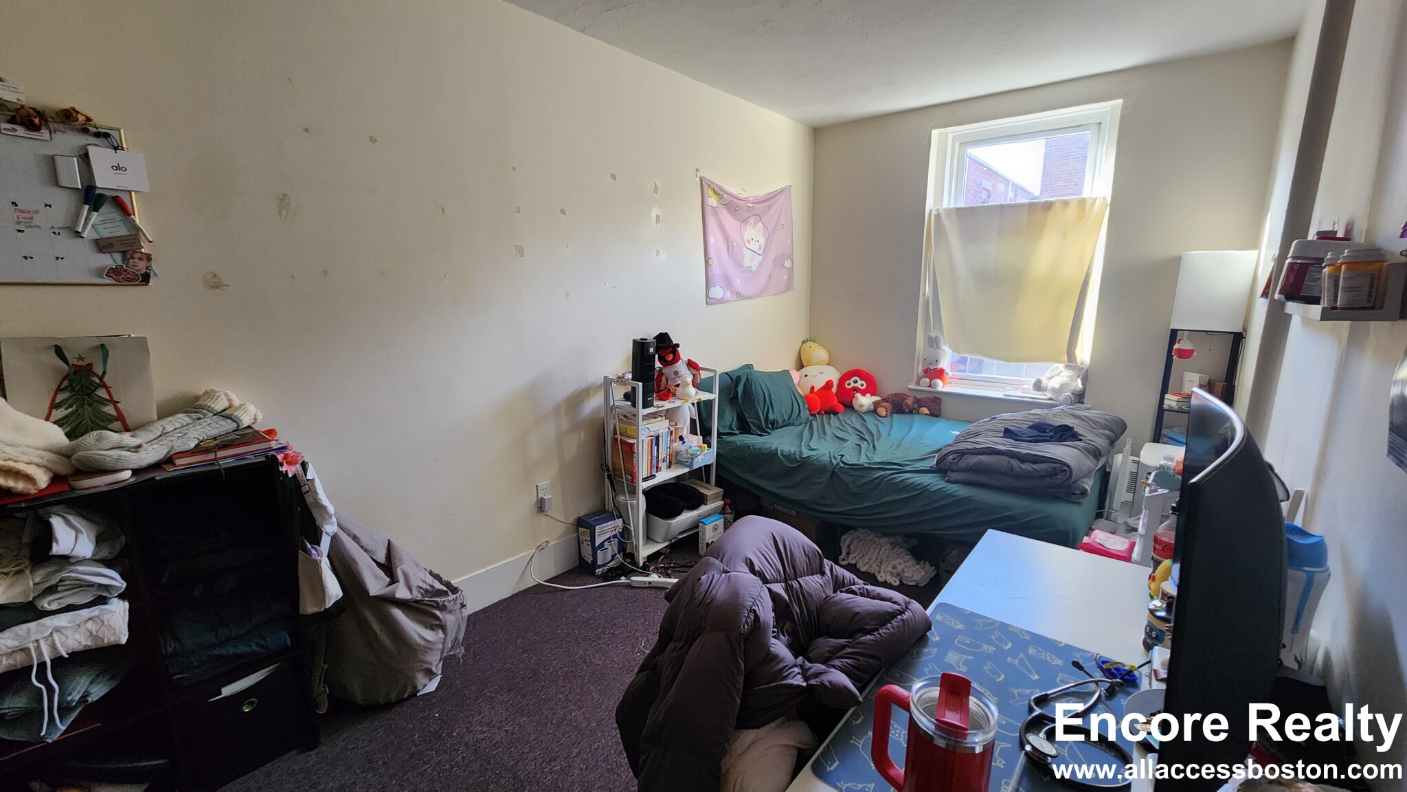 19 Aberdeen St, Fenway