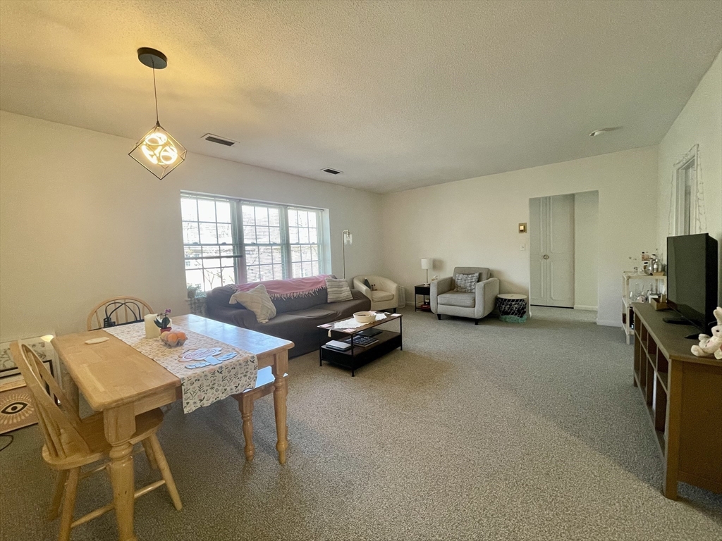 10 Lake Shore Ct, Brighton