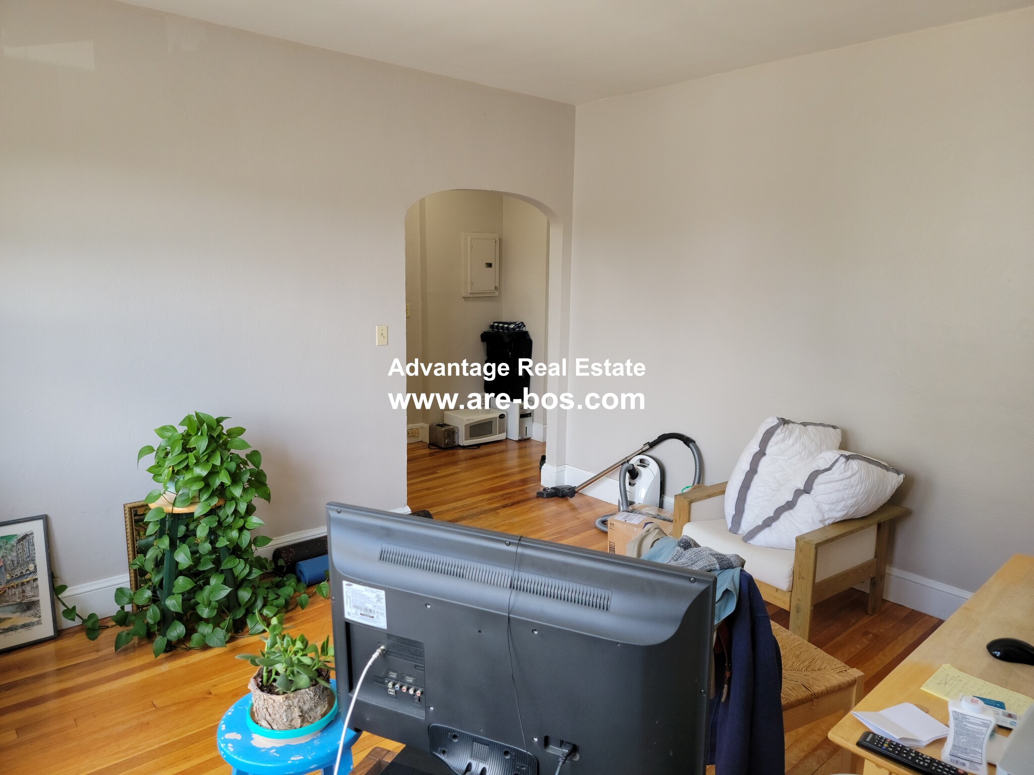 Studio bed, 1 bath apartment for rent at 23 Lanark Rd Unit 5, Brighton — photo 4 of 13