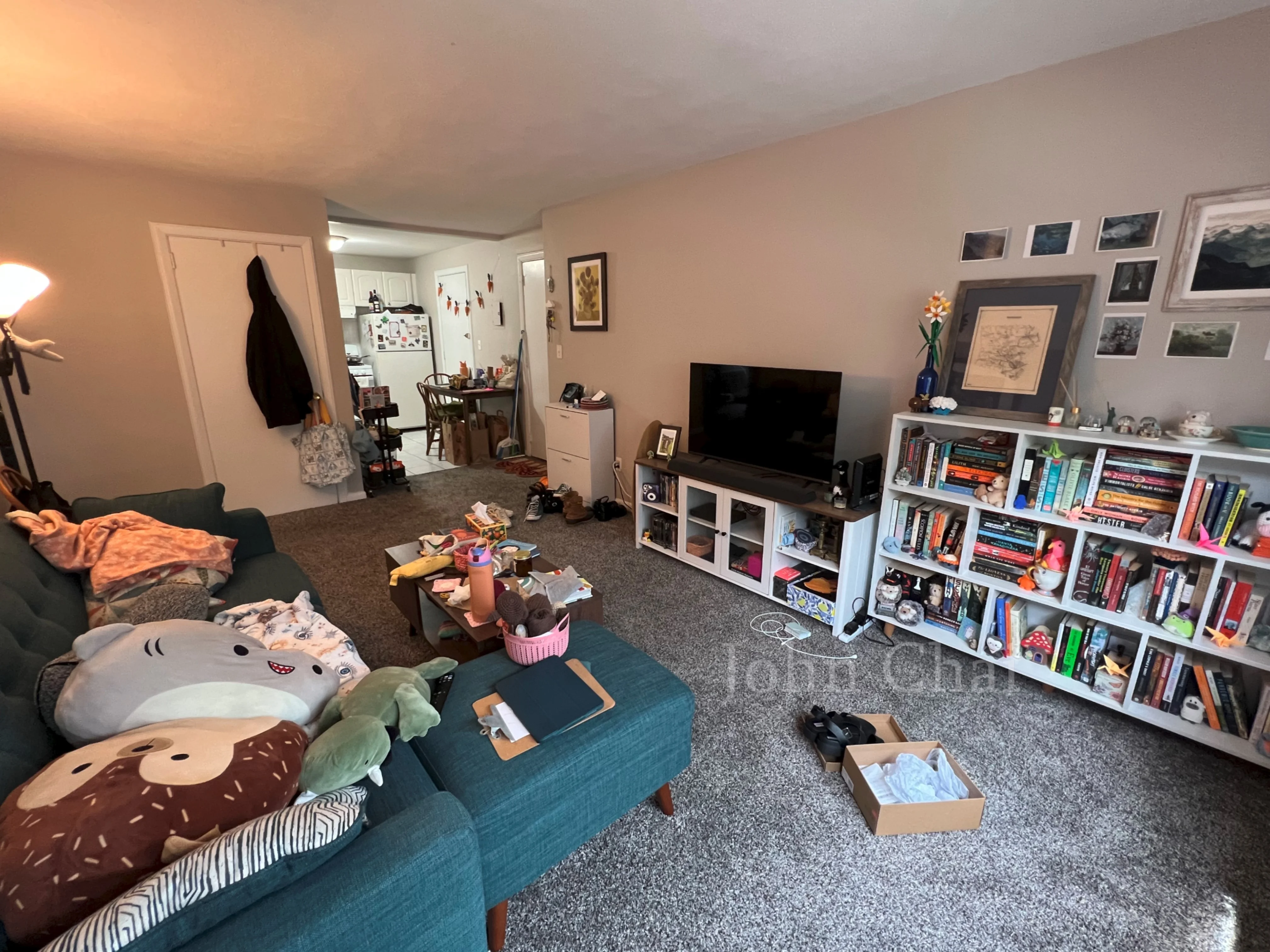 39 Shepard St, Brighton