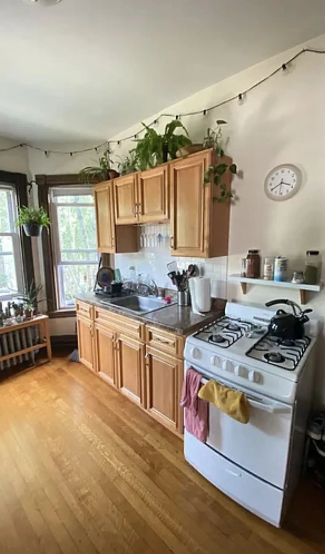 72 Thurston St, Winter Hill