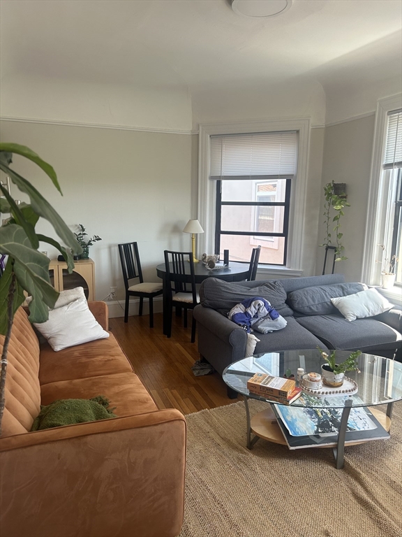 1010 Massachusetts Ave, Harvard Square