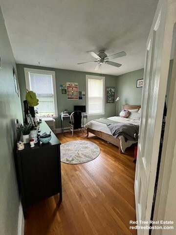 234 Cypress St, Brookline