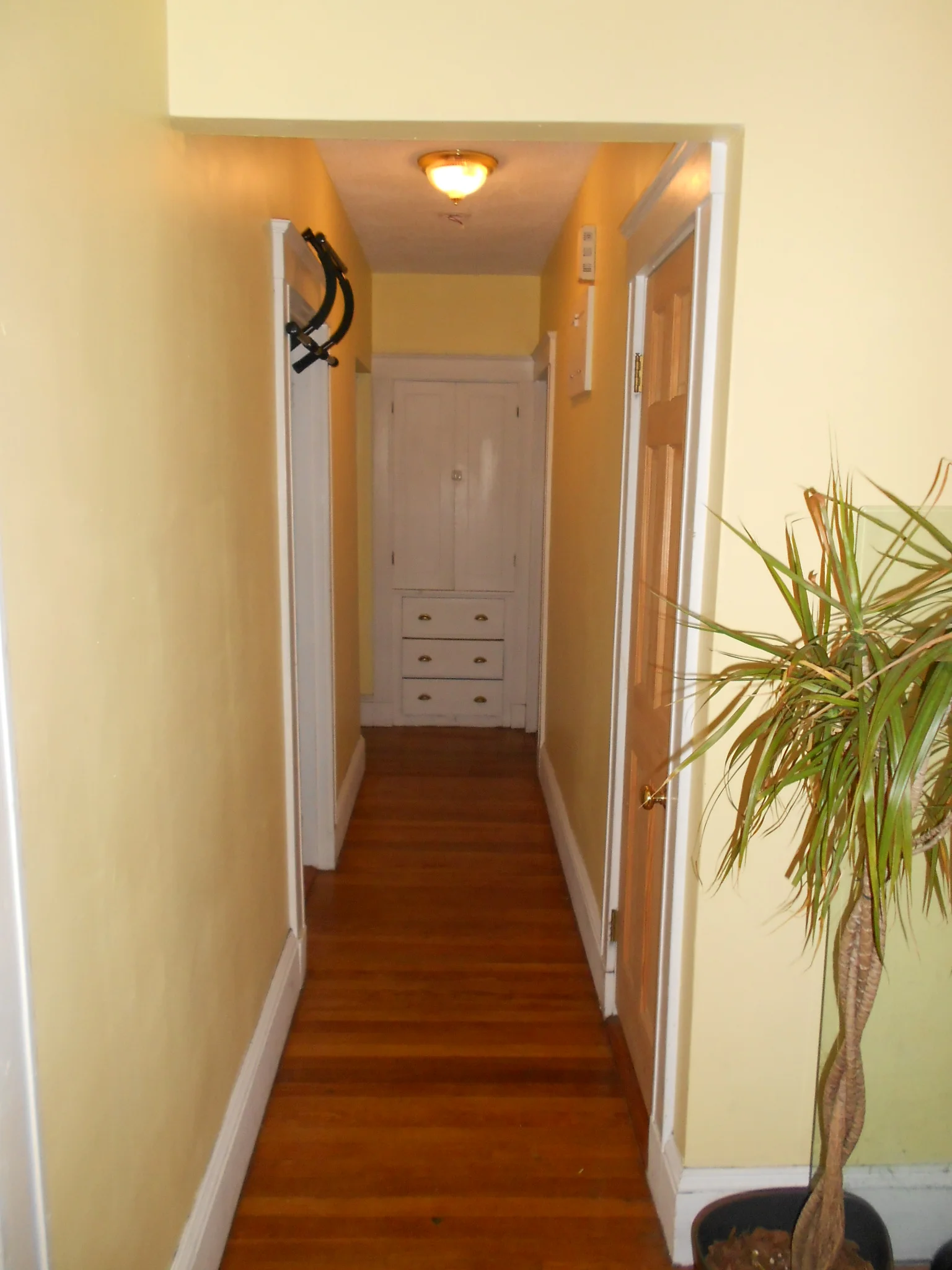 110 Winchester St, North Brookline