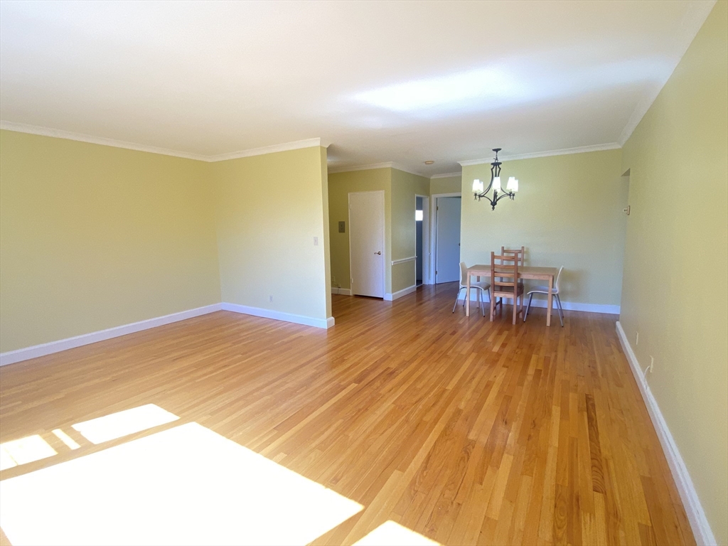 55 Harvard Ave, Brookline