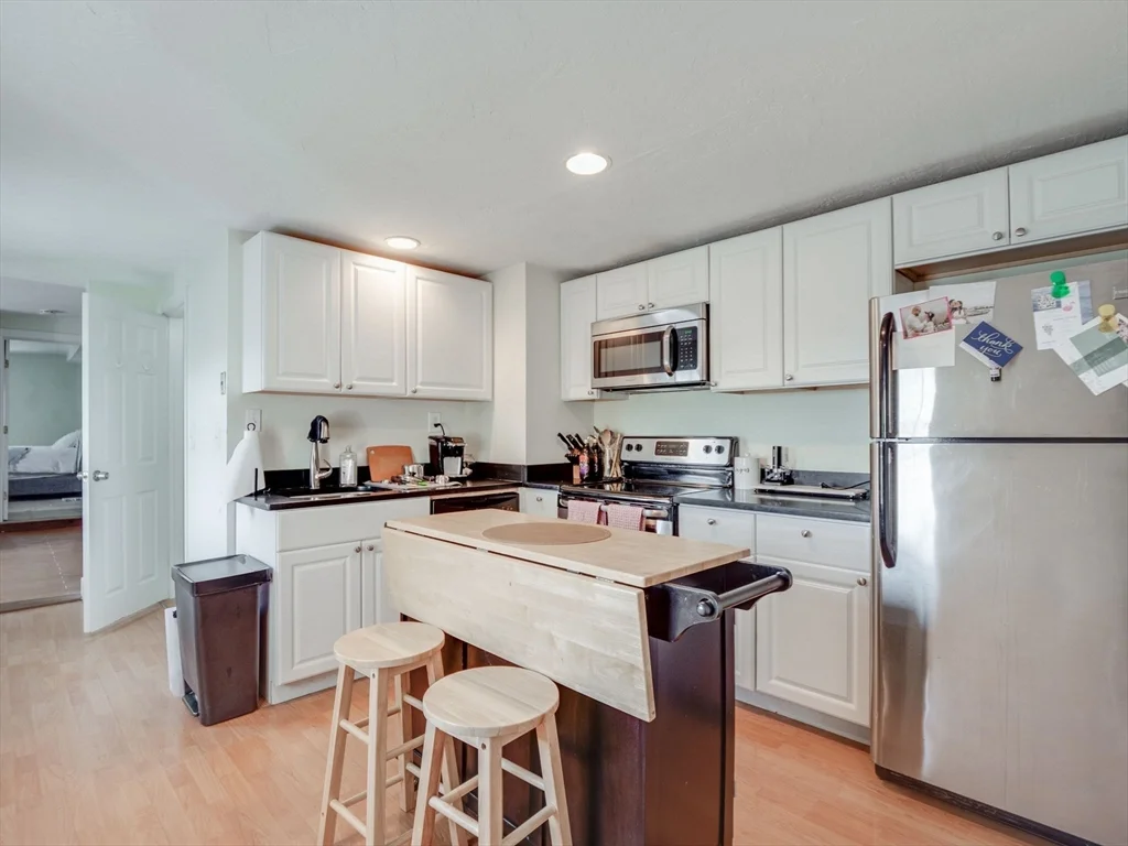 30 Mercer St, South Boston