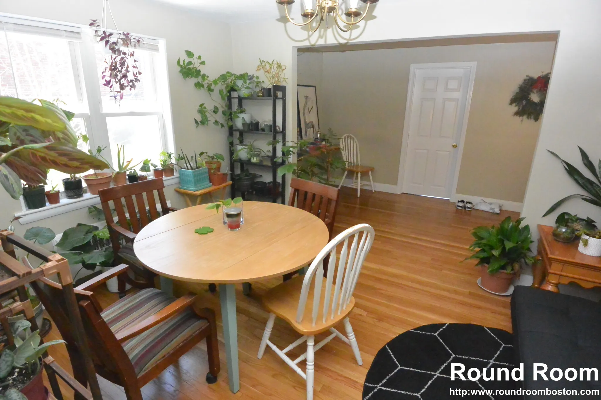 271 Corey Rd, Brighton