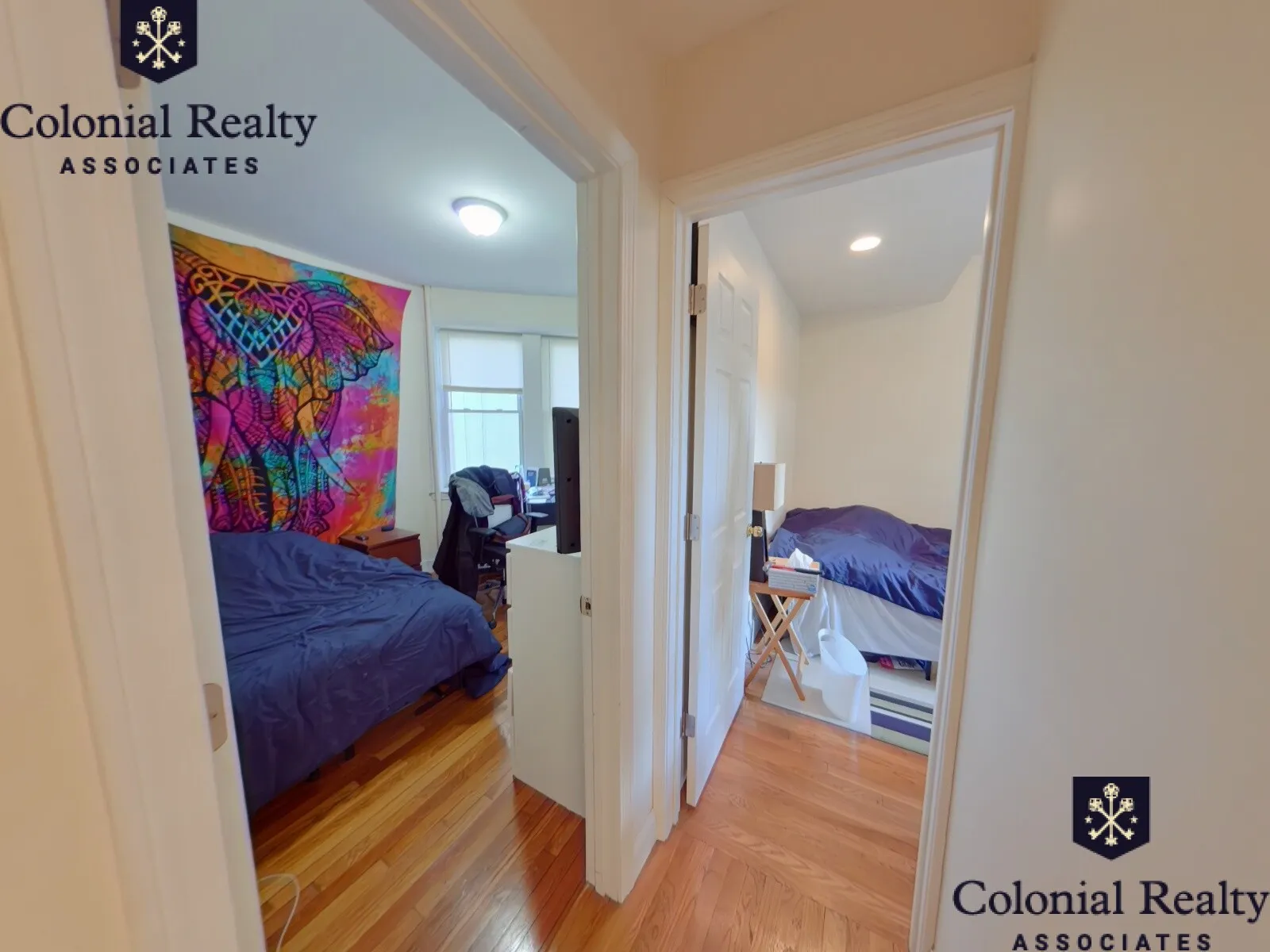 62 Egmont St, North Brookline