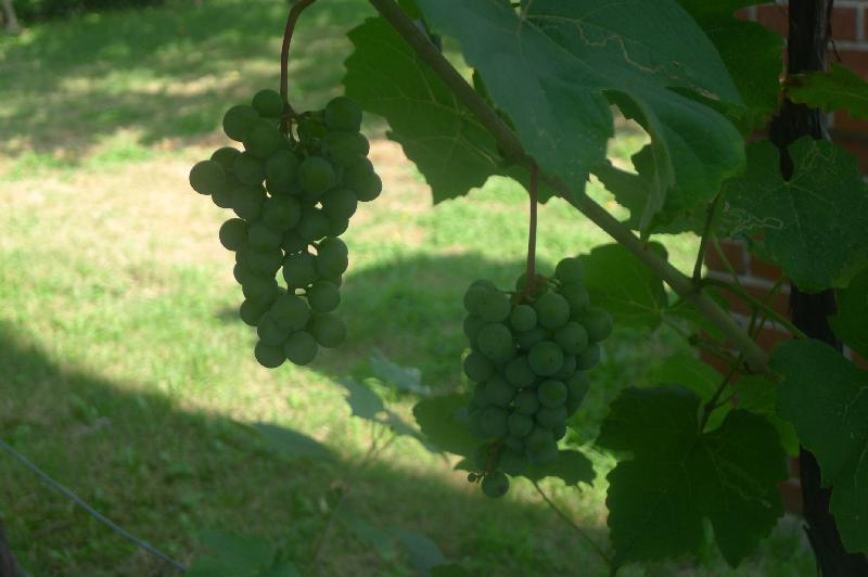 11 Flint St, East Somerville