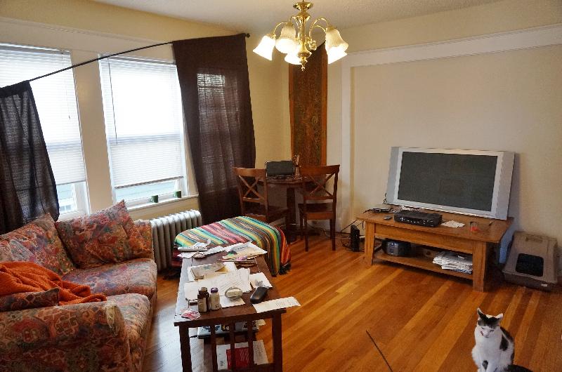 151 Forest Hills St, Jamaica Plain