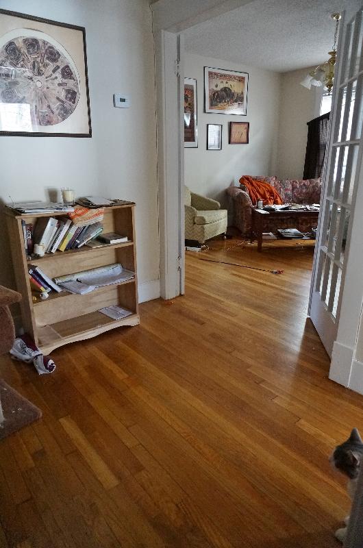 151 Forest Hills St, Jamaica Plain