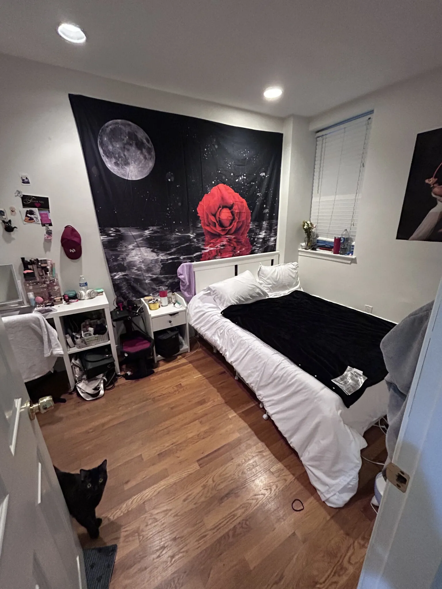 57 Westland Ave, Fenway