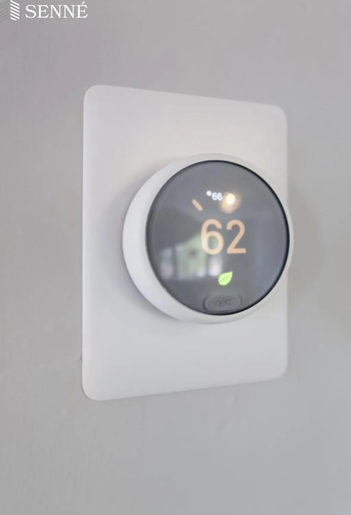 50 Aldrich Rd, Downtown