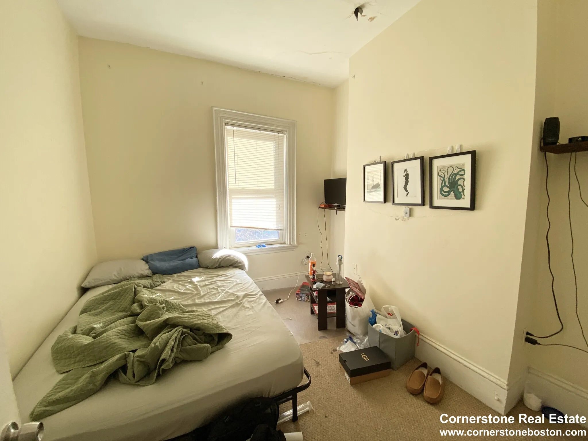 31 Worthington St, Mission Hill