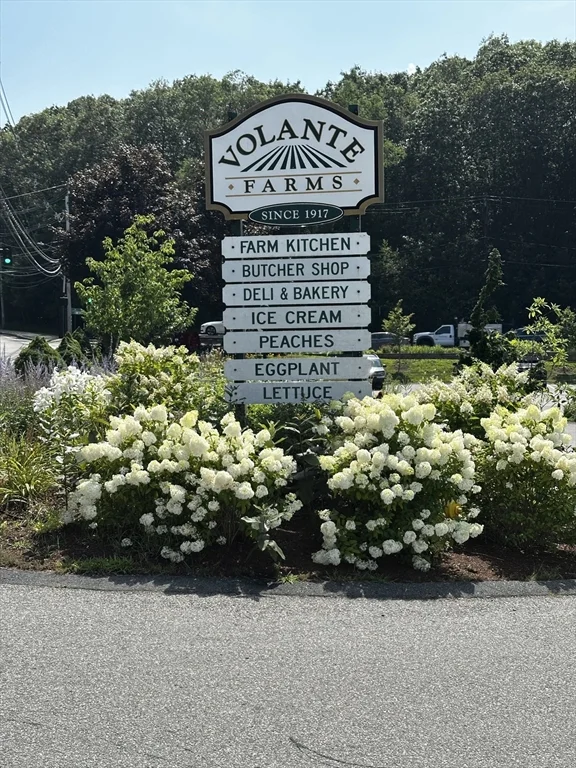 46 Sunset Rd, Needham