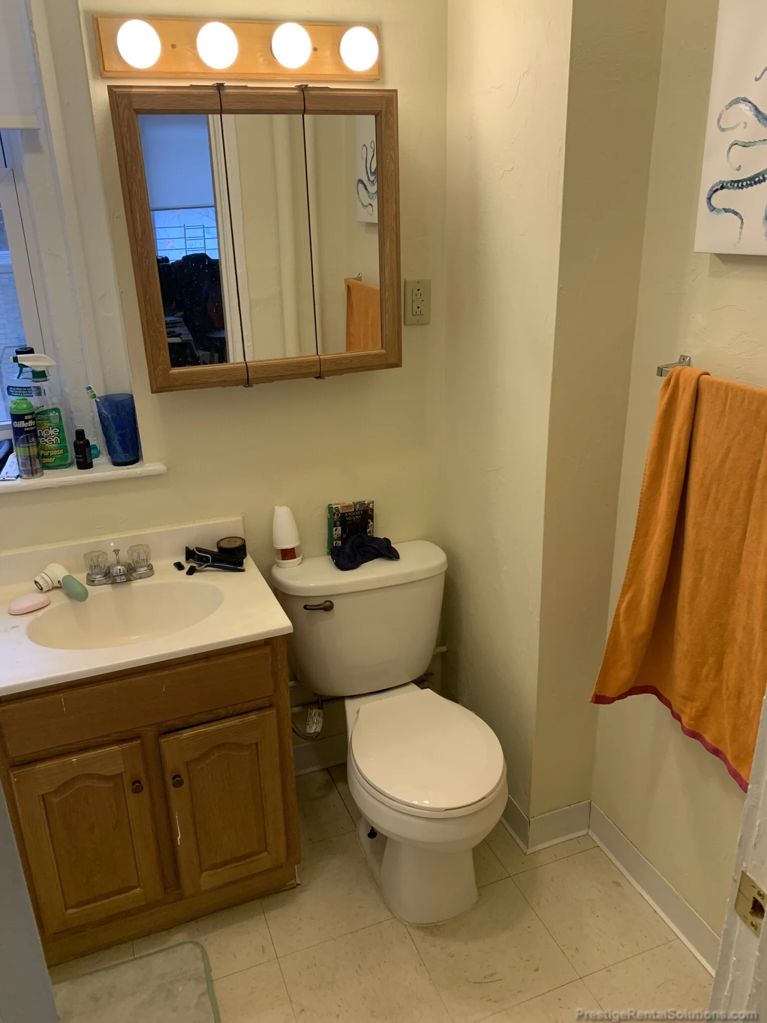 217 Kelton St, Brighton