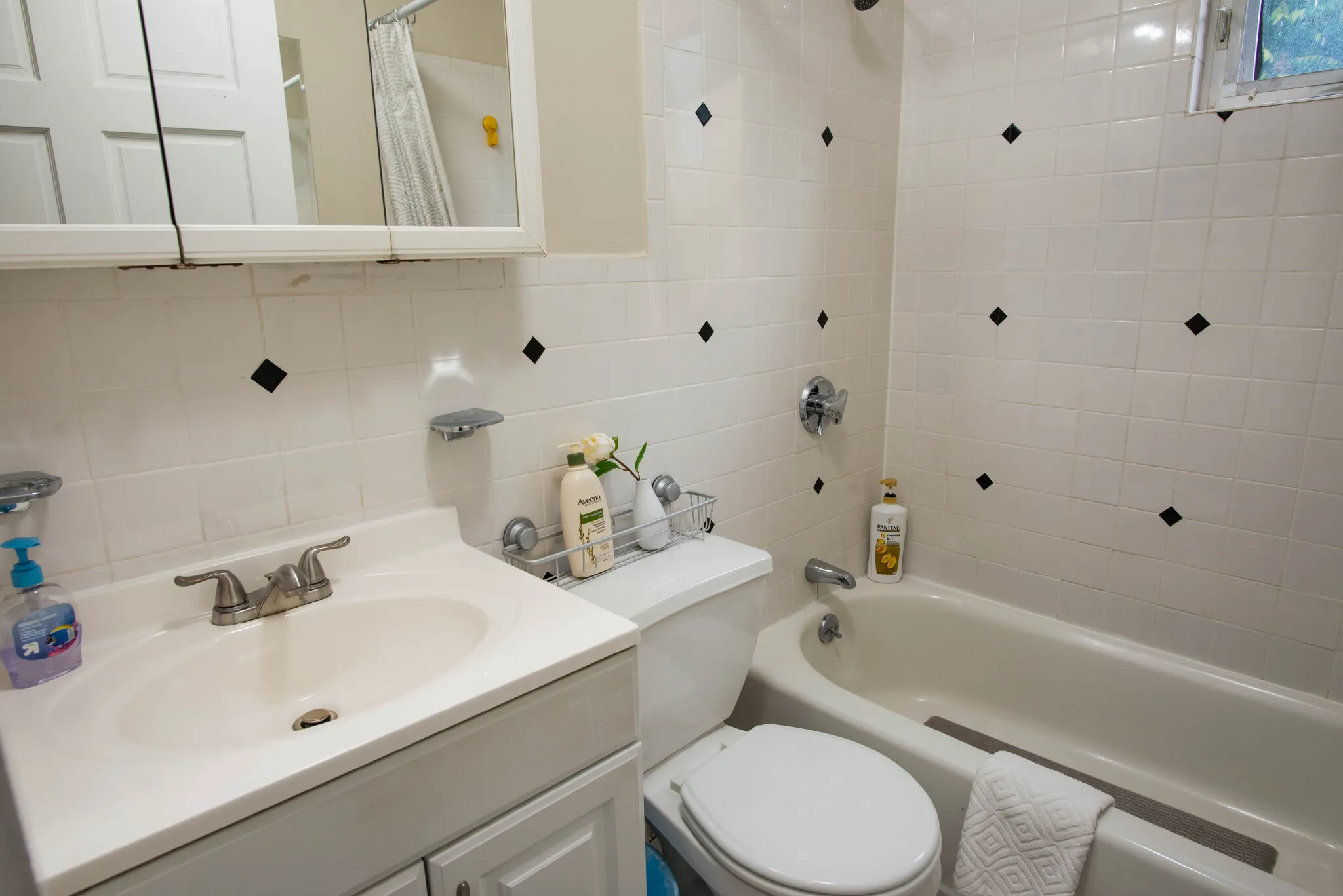 1 Torpie St, Mission Hill