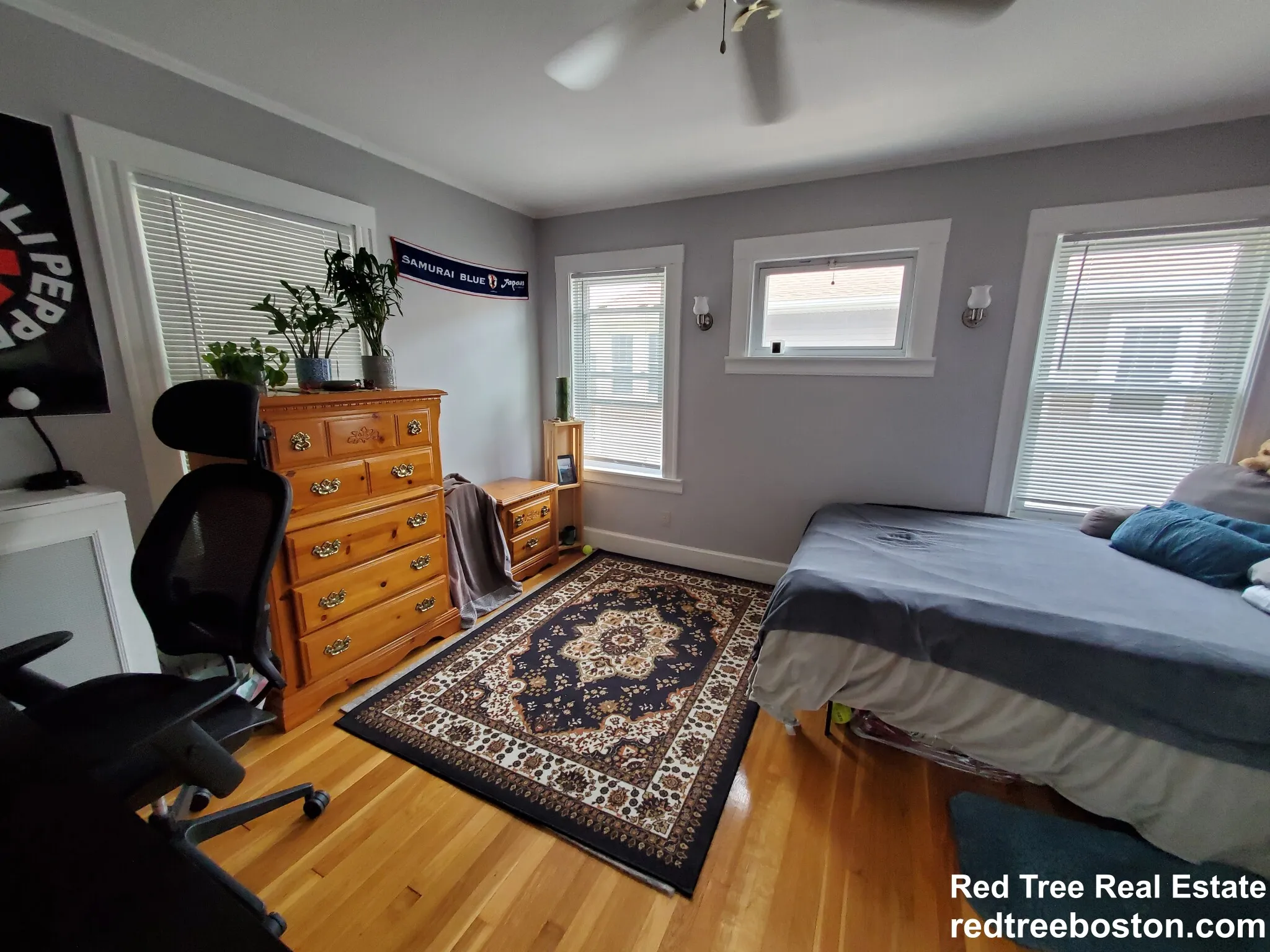 7 Elmira St, Brighton